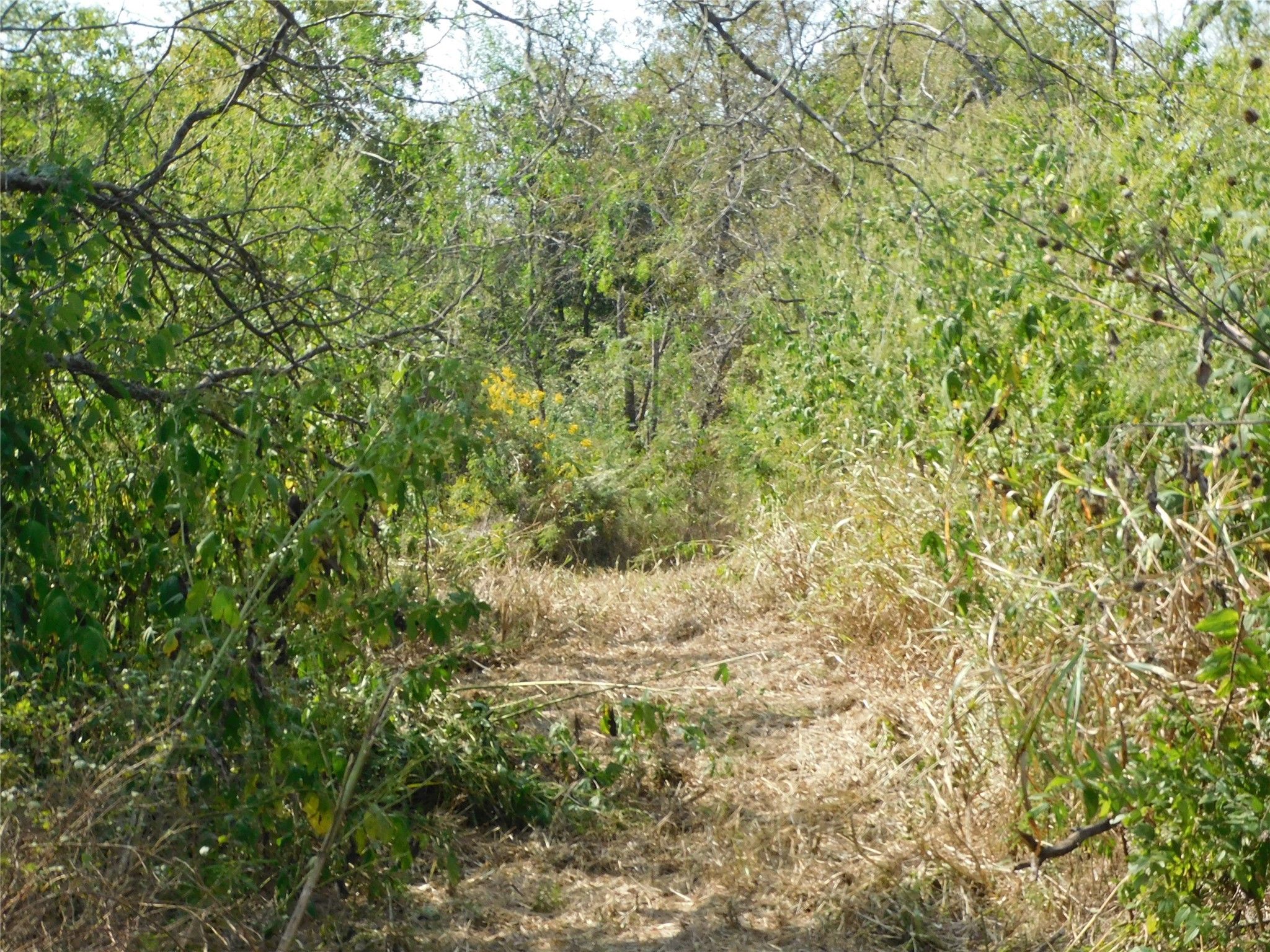 451 Hcr3335 Road Hubbard TX 76648