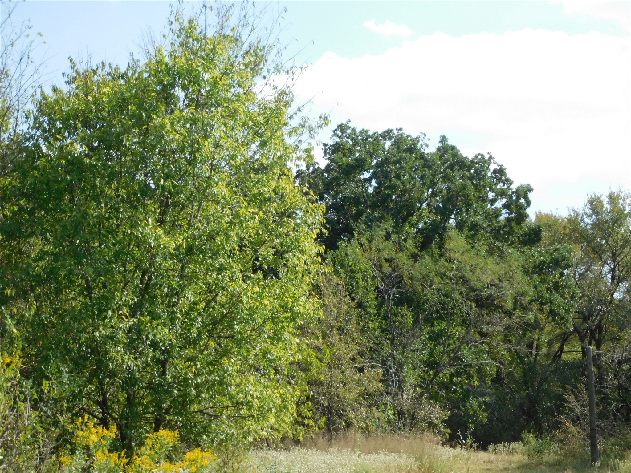 451 Hcr3335 Road Hubbard TX 76648