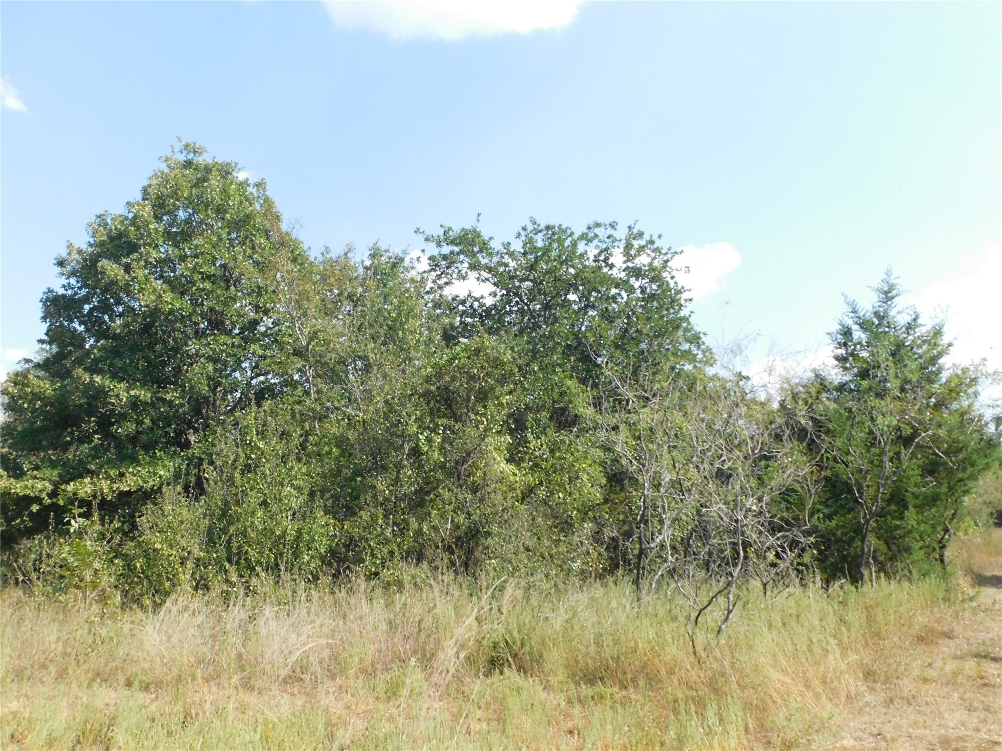 451 Hcr3335 Road Hubbard TX 76648