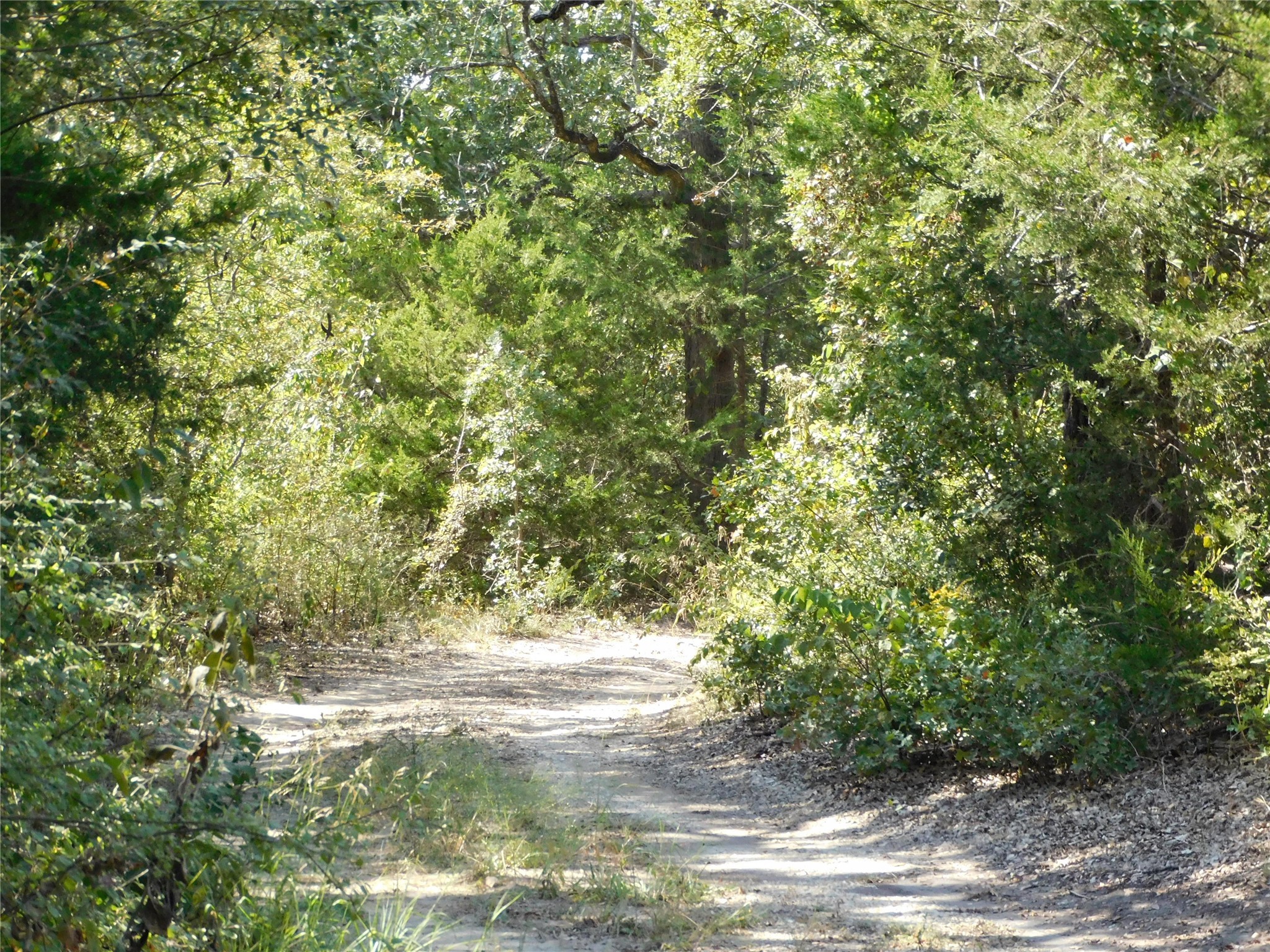 451 Hcr3335 Road Hubbard TX 76648