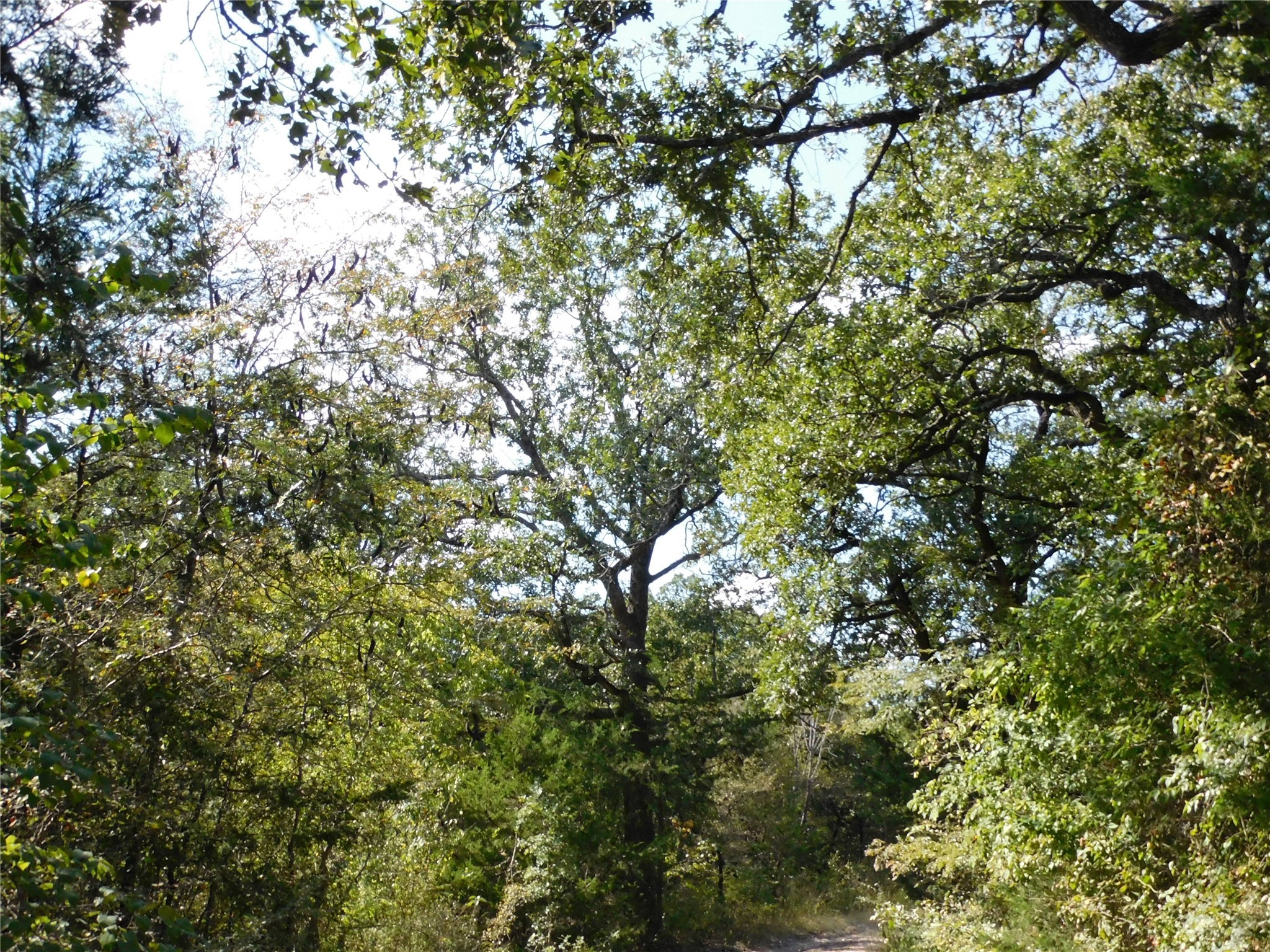 451 Hcr3335 Road Hubbard TX 76648