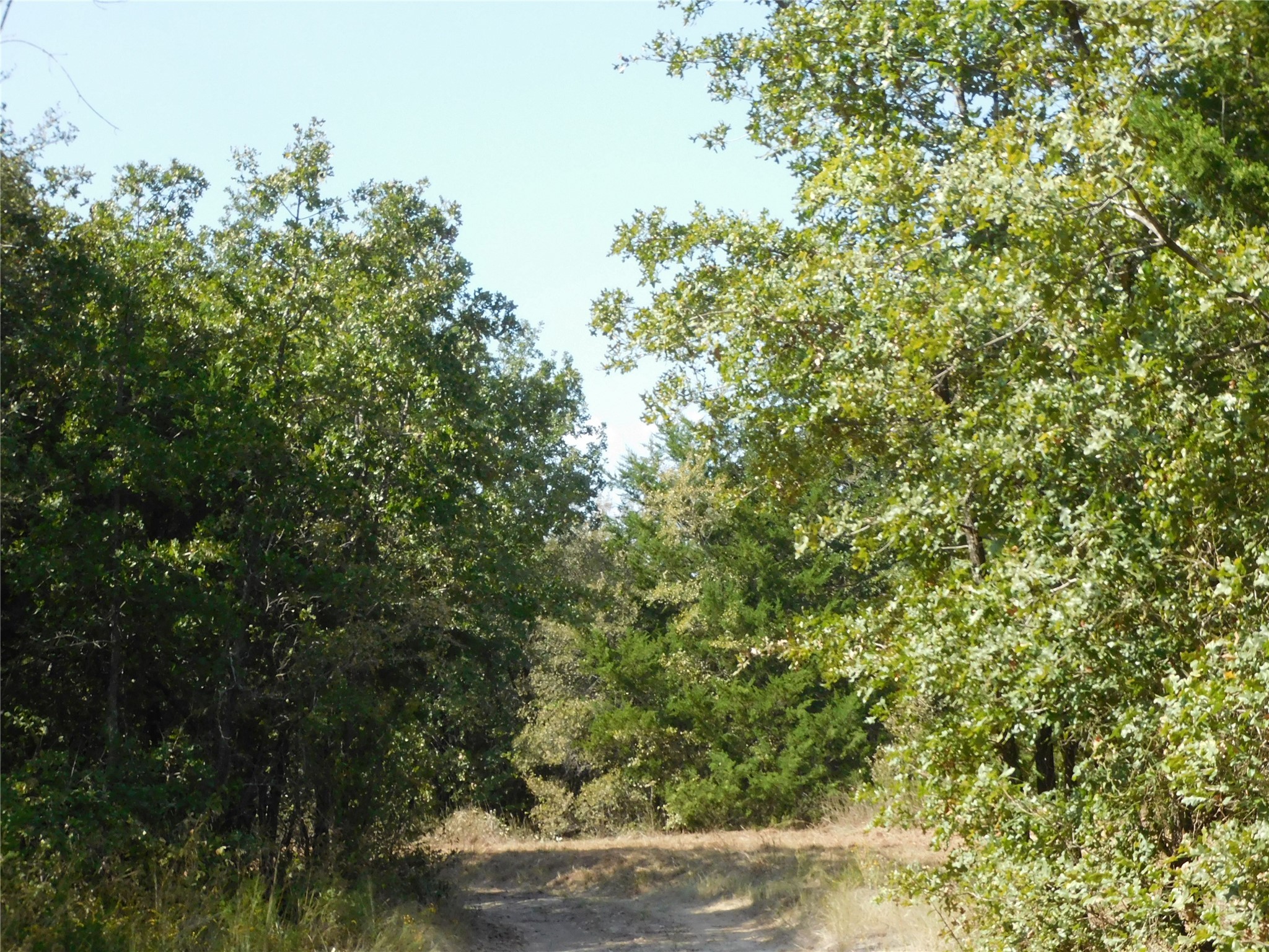 451 Hcr3335 Road Hubbard TX 76648
