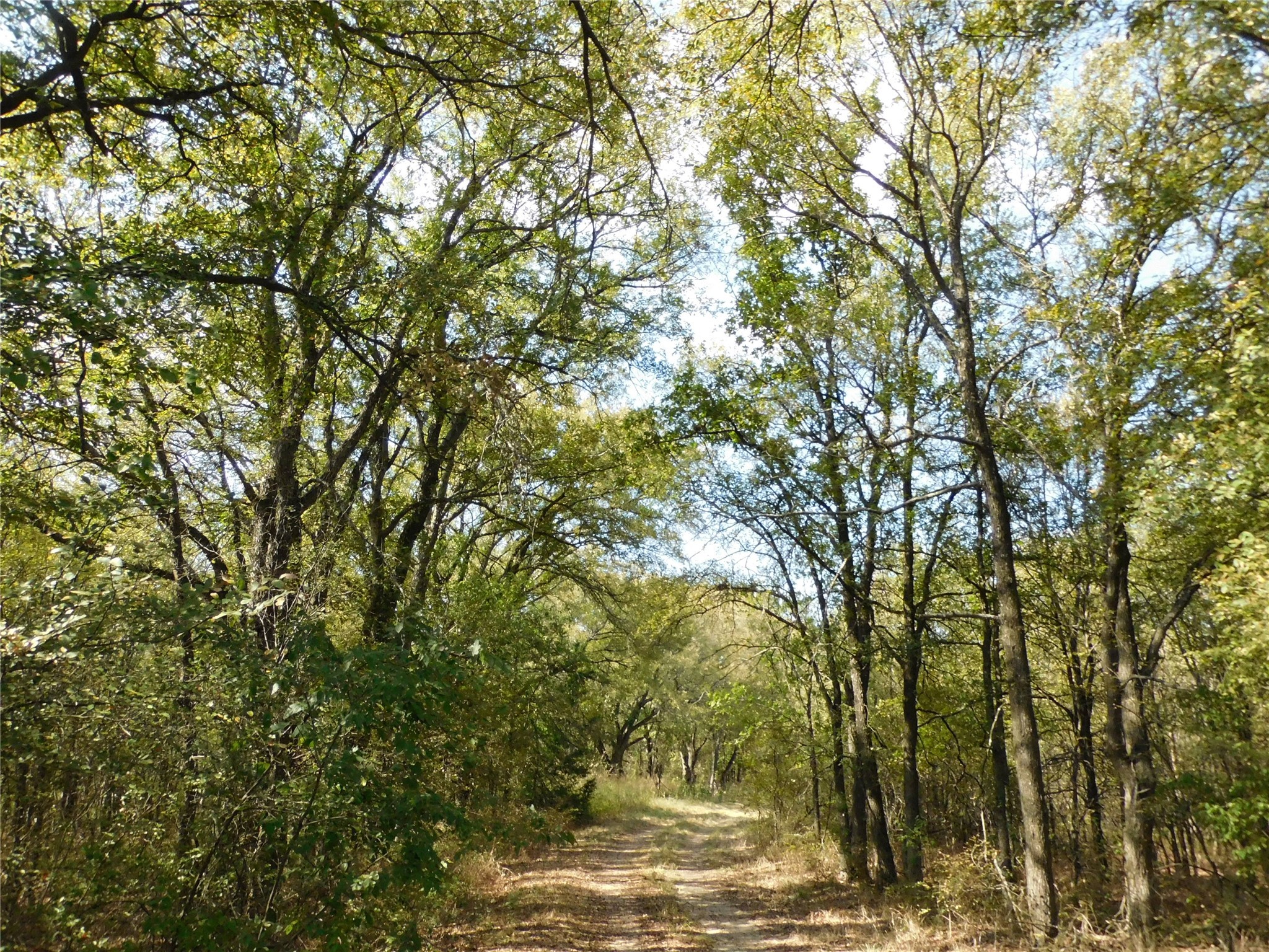 451 Hcr3335 Road Hubbard TX 76648