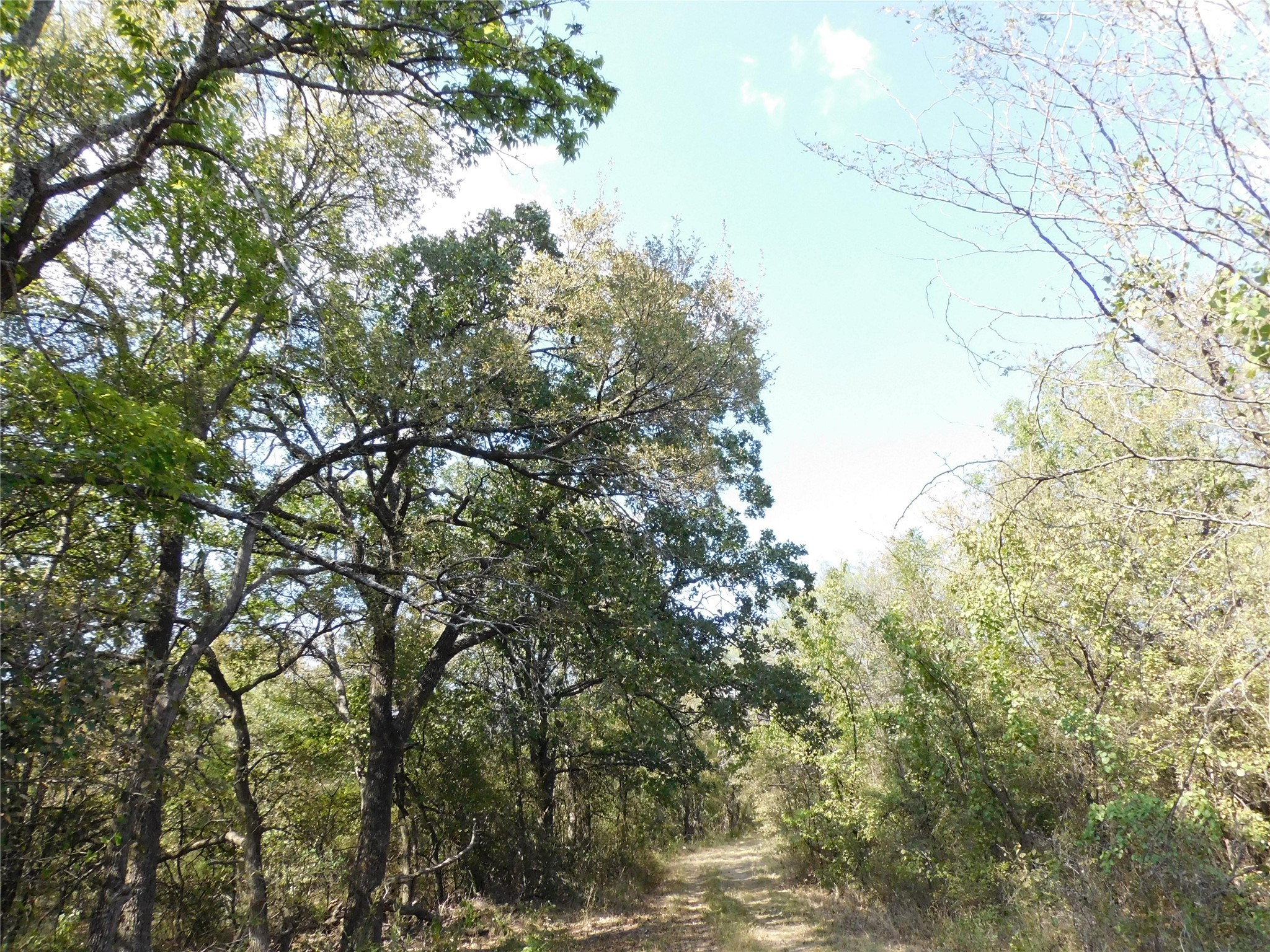 451 Hcr3335 Road Hubbard TX 76648