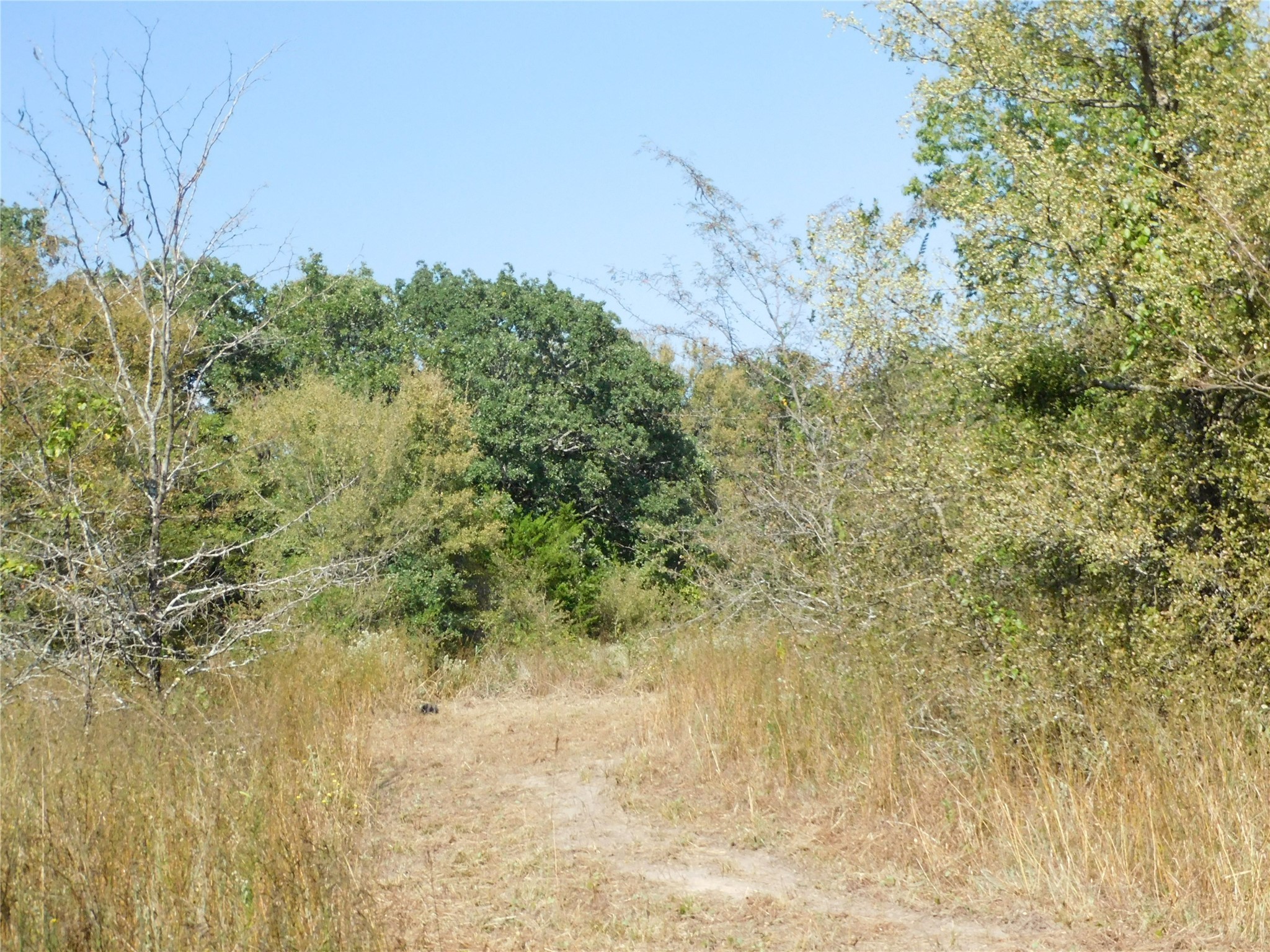 451 Hcr3335 Road Hubbard TX 76648