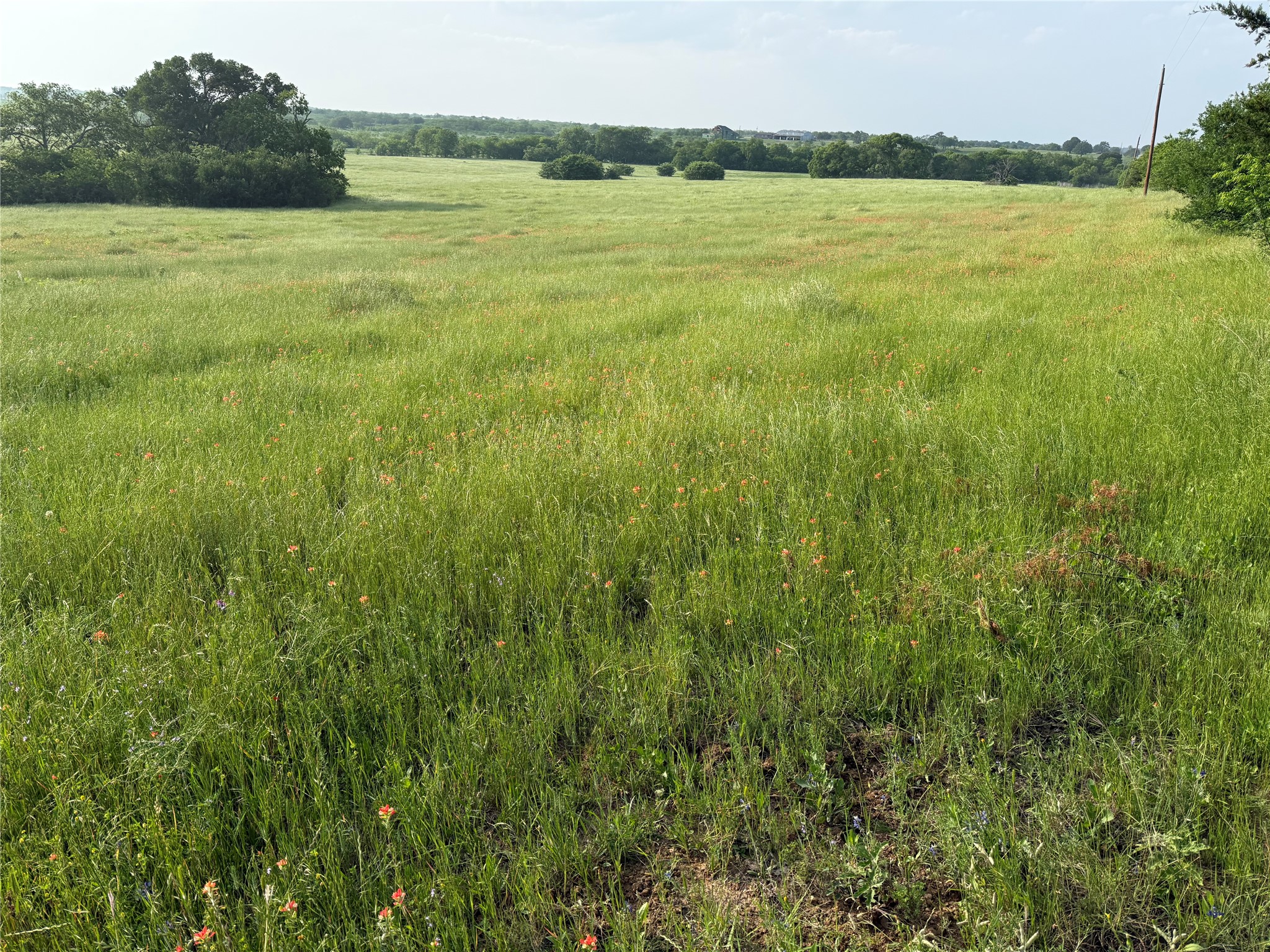 Tbd 10 Acres Co Road 4055 Kemp TX 75143