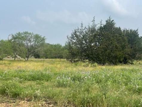 Lot 175 Heartleaf Drive Lampasas TX 76550