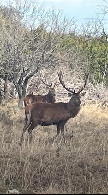 Lot 175 Heartleaf Drive Lampasas TX 76550