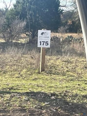 Lot 175 Heartleaf Drive Lampasas TX 76550