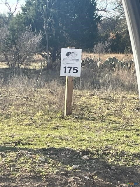 Lot 175 Heartleaf Drive Lampasas TX 76550
