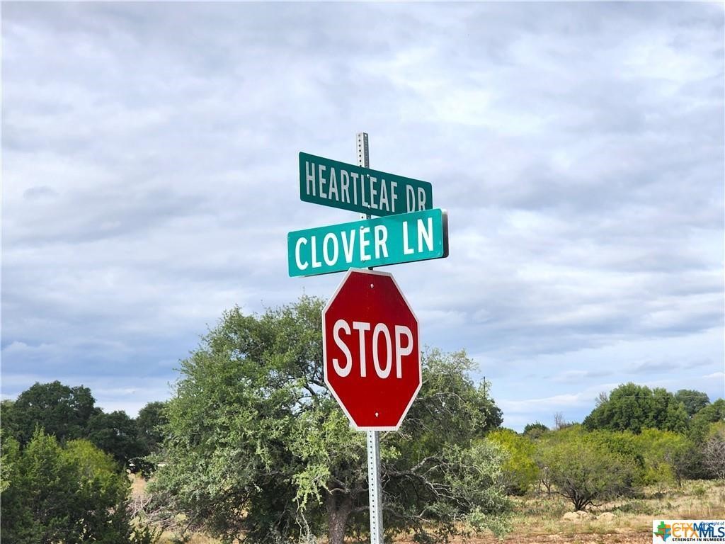 Lot 175 Heartleaf Drive Lampasas TX 76550