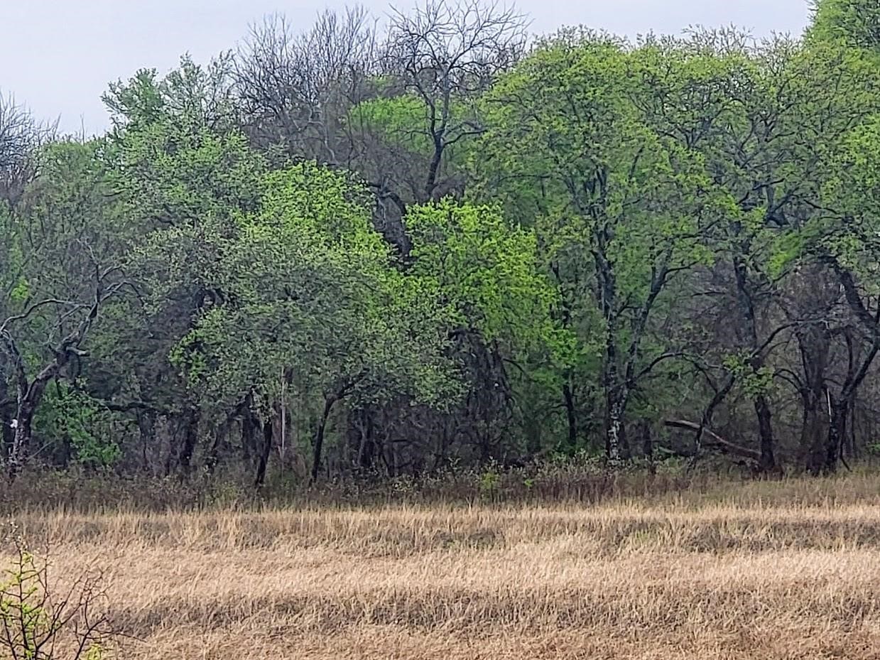 000 Hill Creek Lane Hillsboro TX 76645