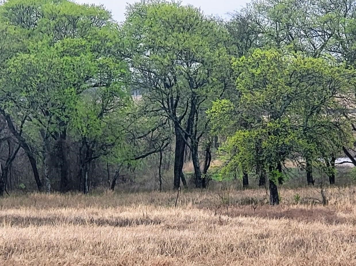 000 Hill Creek Lane Hillsboro TX 76645