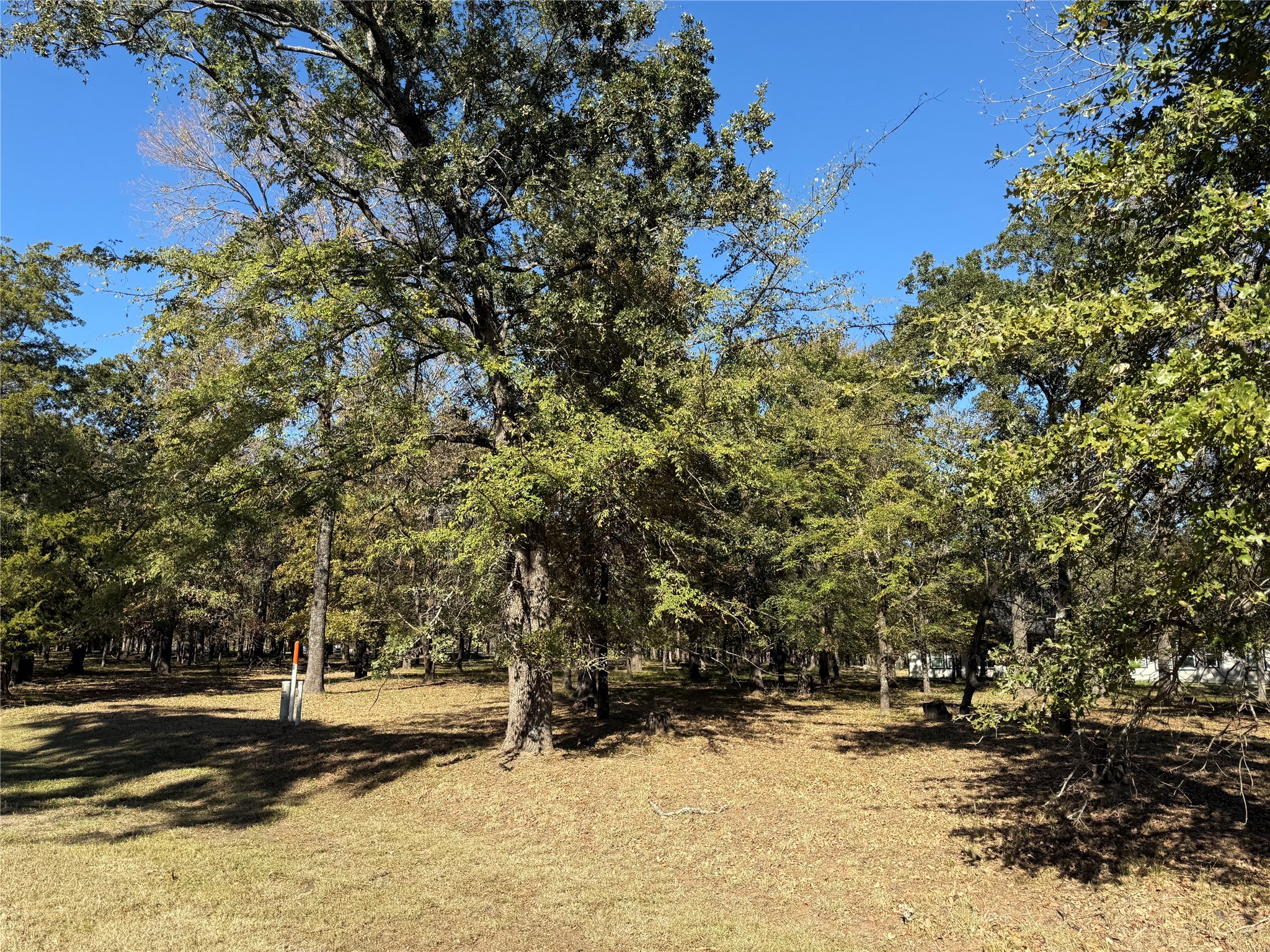 0 St Andrews Drive Mabank TX 75156