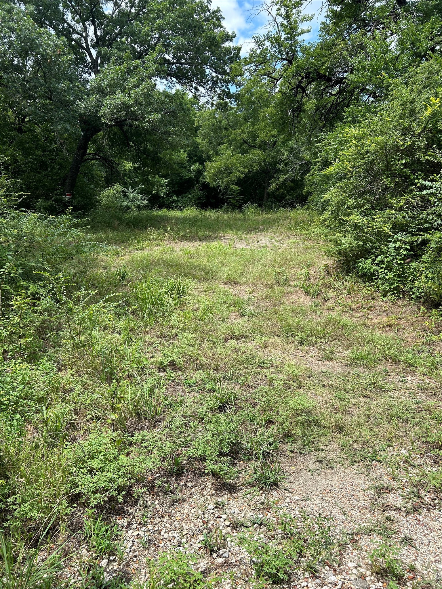1100 S Holly Avenue Sherman TX 75092