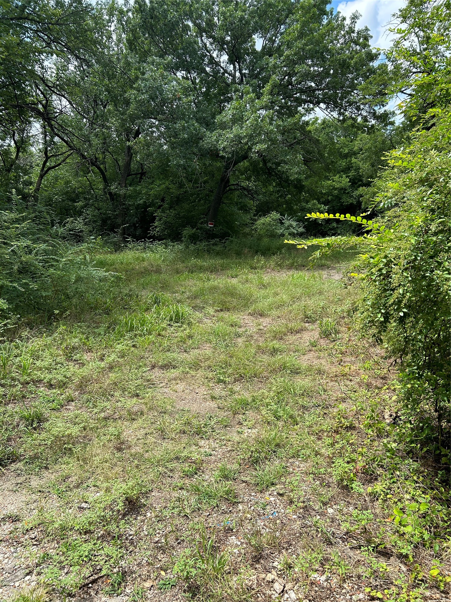 1100 S Holly Avenue Sherman TX 75092