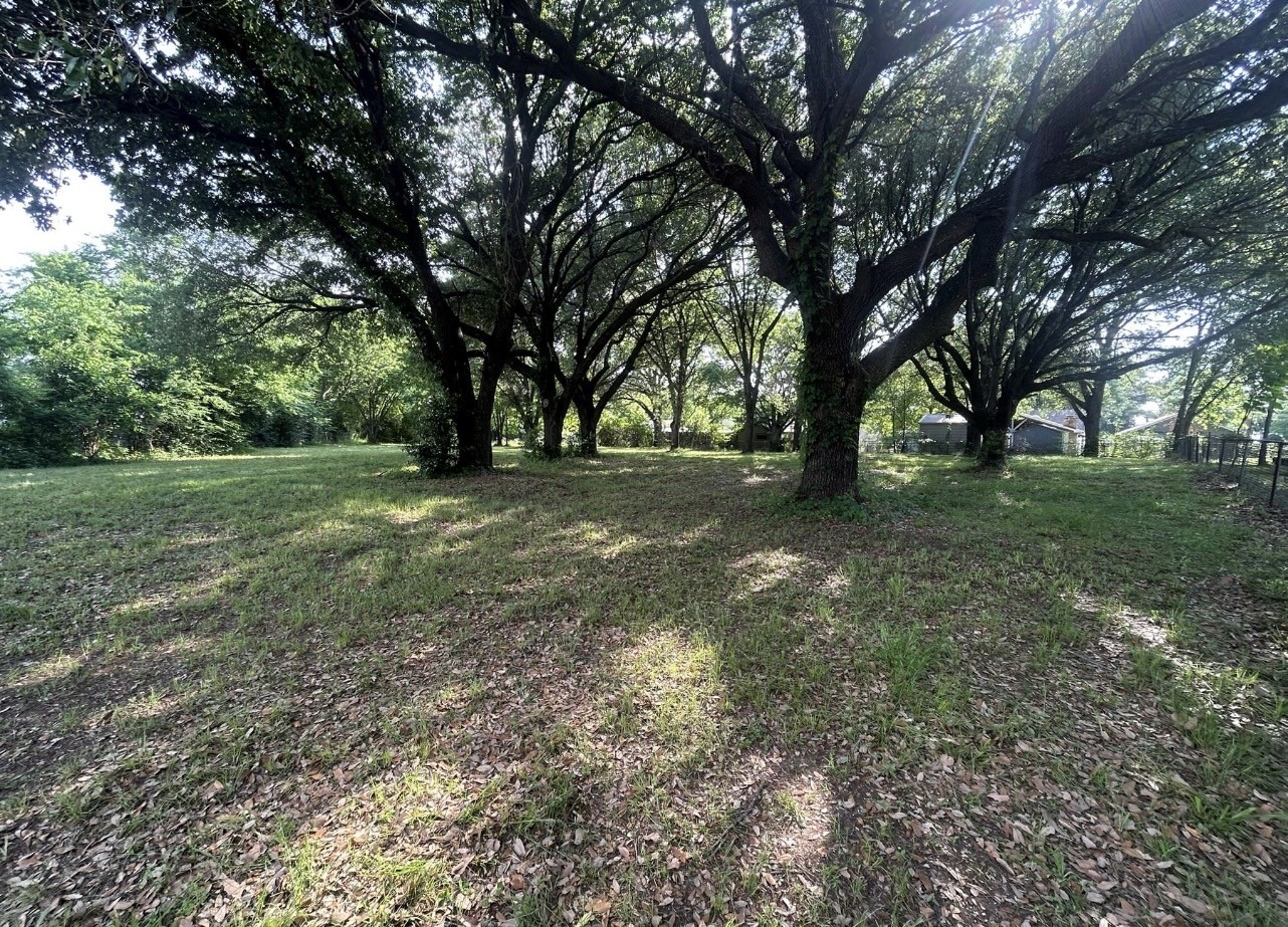 Lot 226 & 227 Ford Circle Gun Barrel City TX 75156