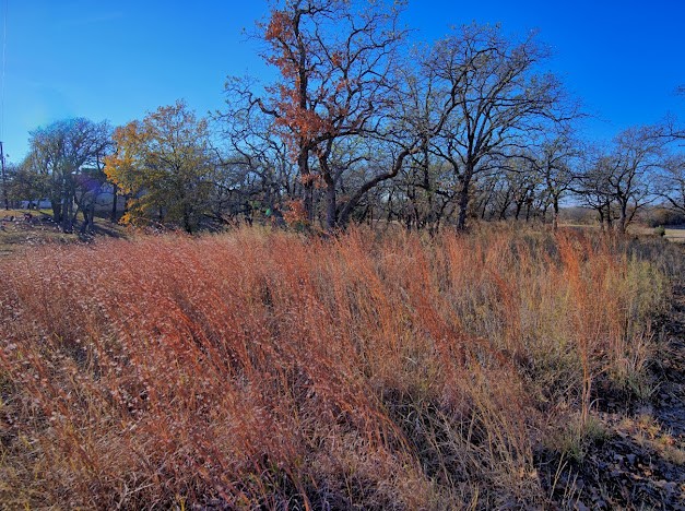 125 Diamond Oaks Drive Nocona TX 76255