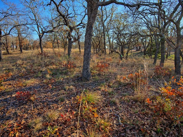 125 Diamond Oaks Drive Nocona TX 76255