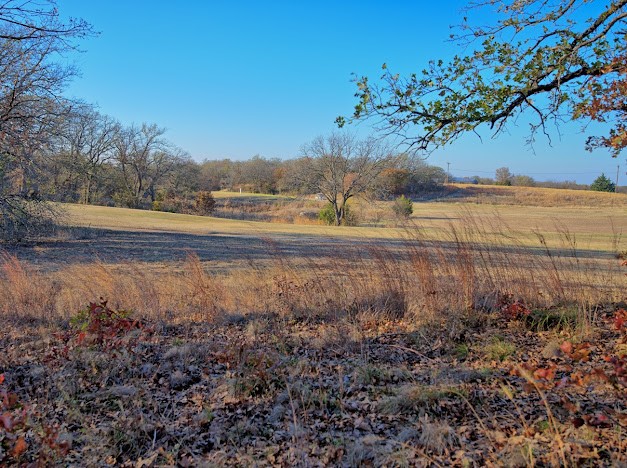 125 Diamond Oaks Drive Nocona TX 76255