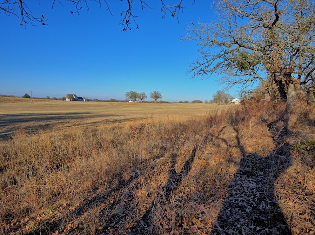 125 Diamond Oaks Drive Nocona TX 76255