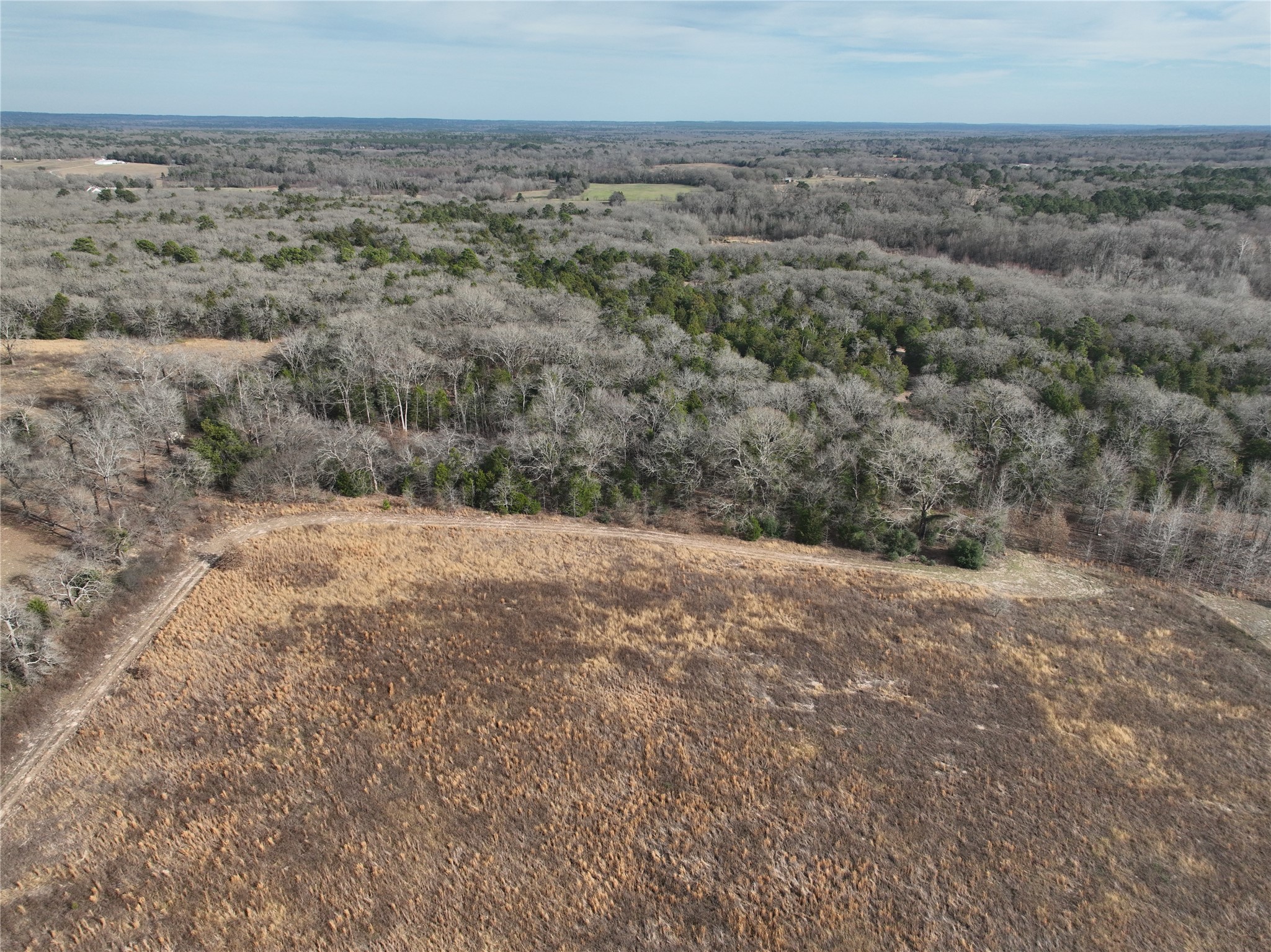 Tbd County Road 3250 Quitman TX 75783