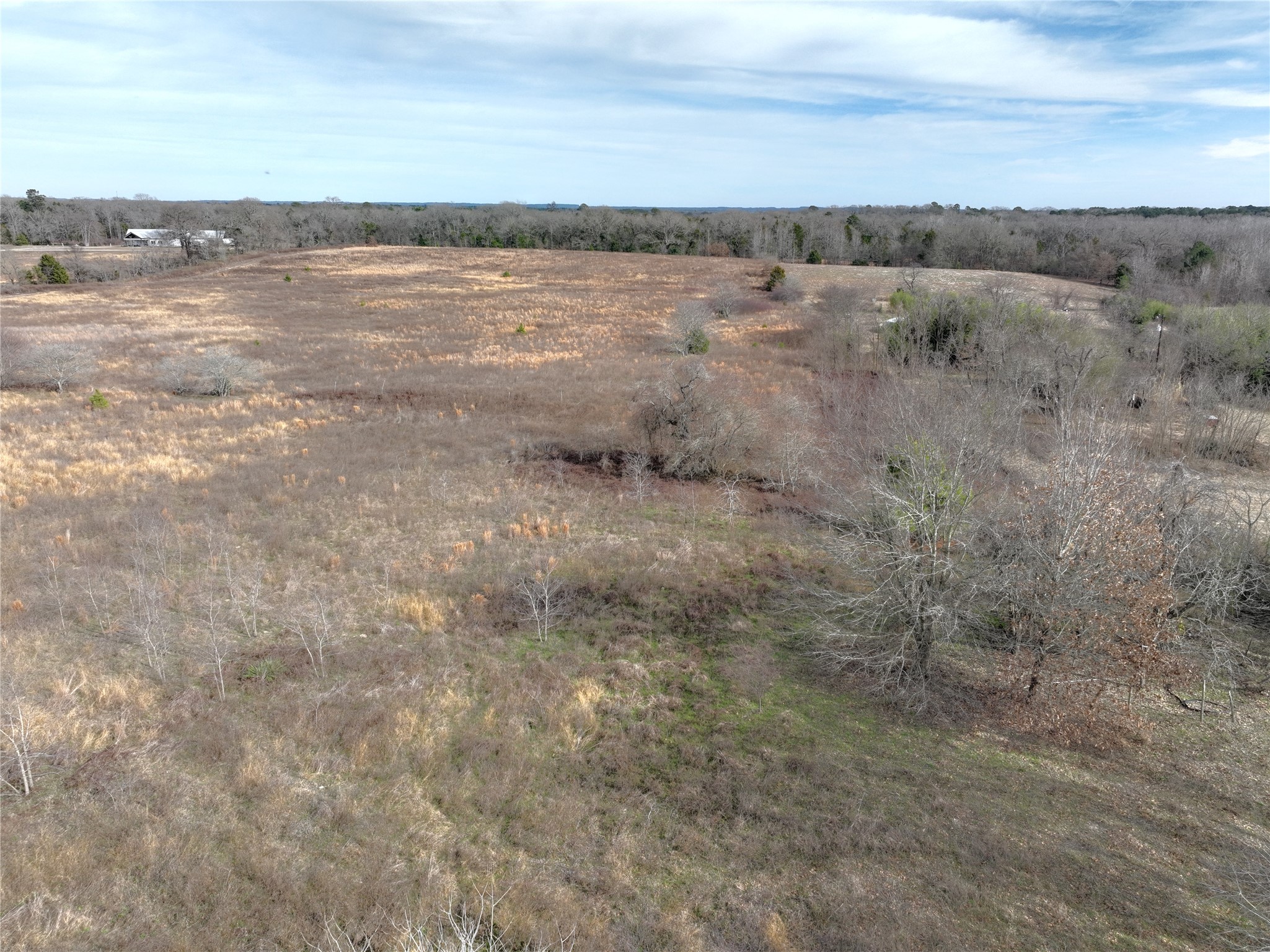 Tbd County Road 3250 Quitman TX 75783