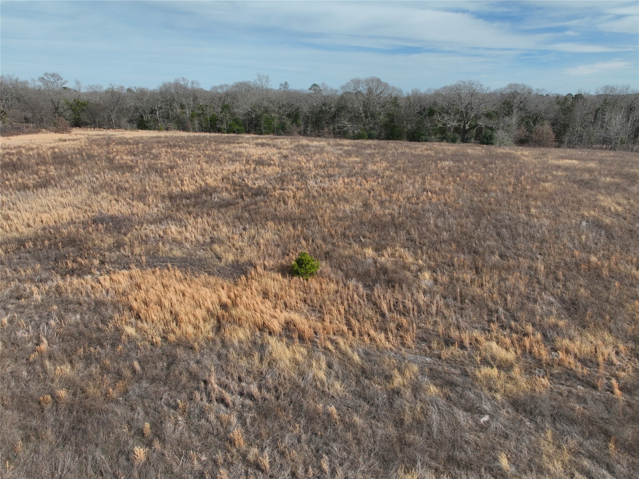 Tbd County Road 3250 Quitman TX 75783