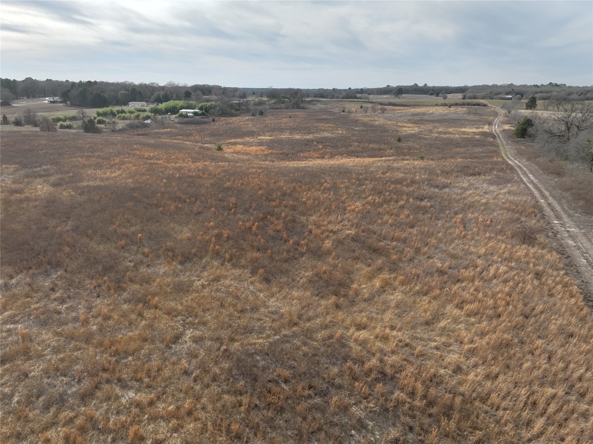 Tbd County Road 3250 Quitman TX 75783