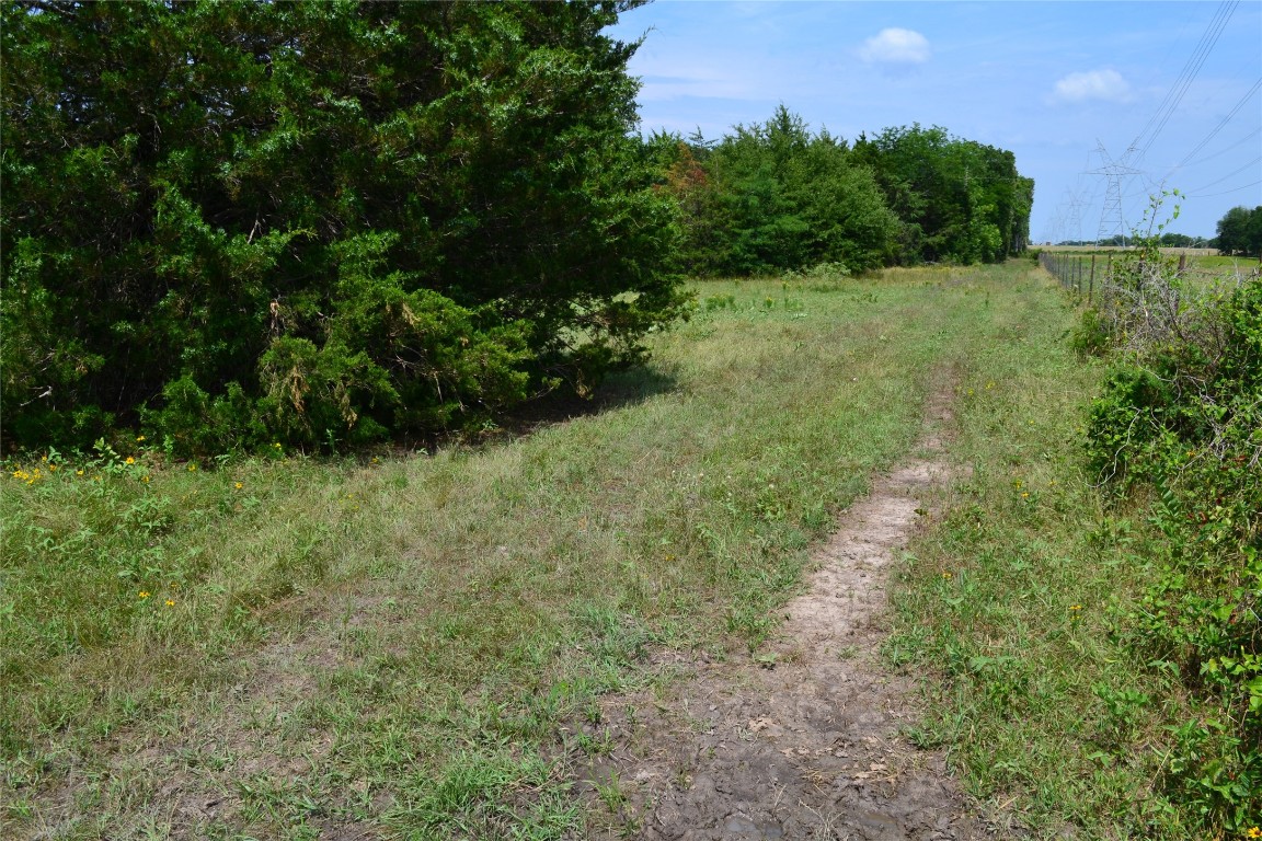 Tbd County Road 2244 Road Quinlan TX 75474