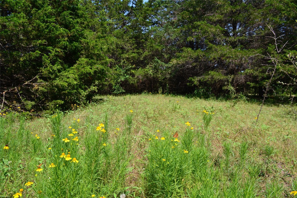 Tbd County Road 2244 Road Quinlan TX 75474