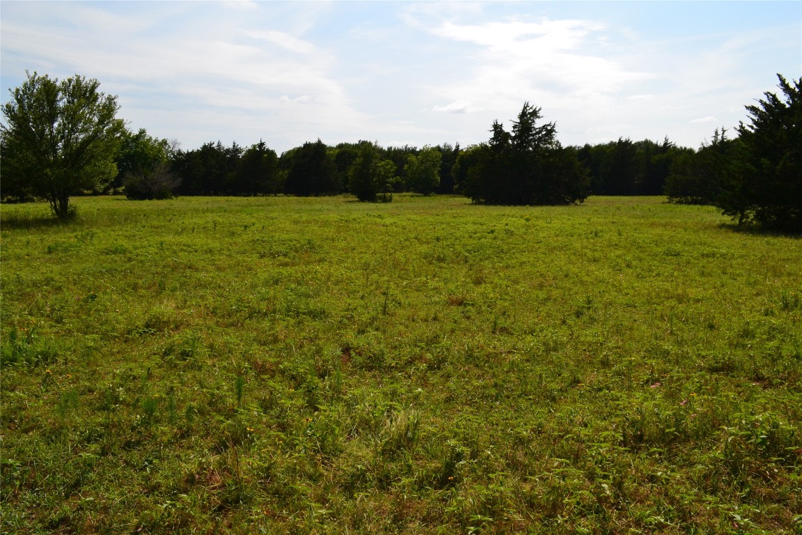 Tbd County Road 2244 Road Quinlan TX 75474