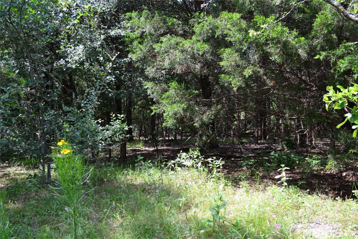 Tbd County Road 2244 Road Quinlan TX 75474