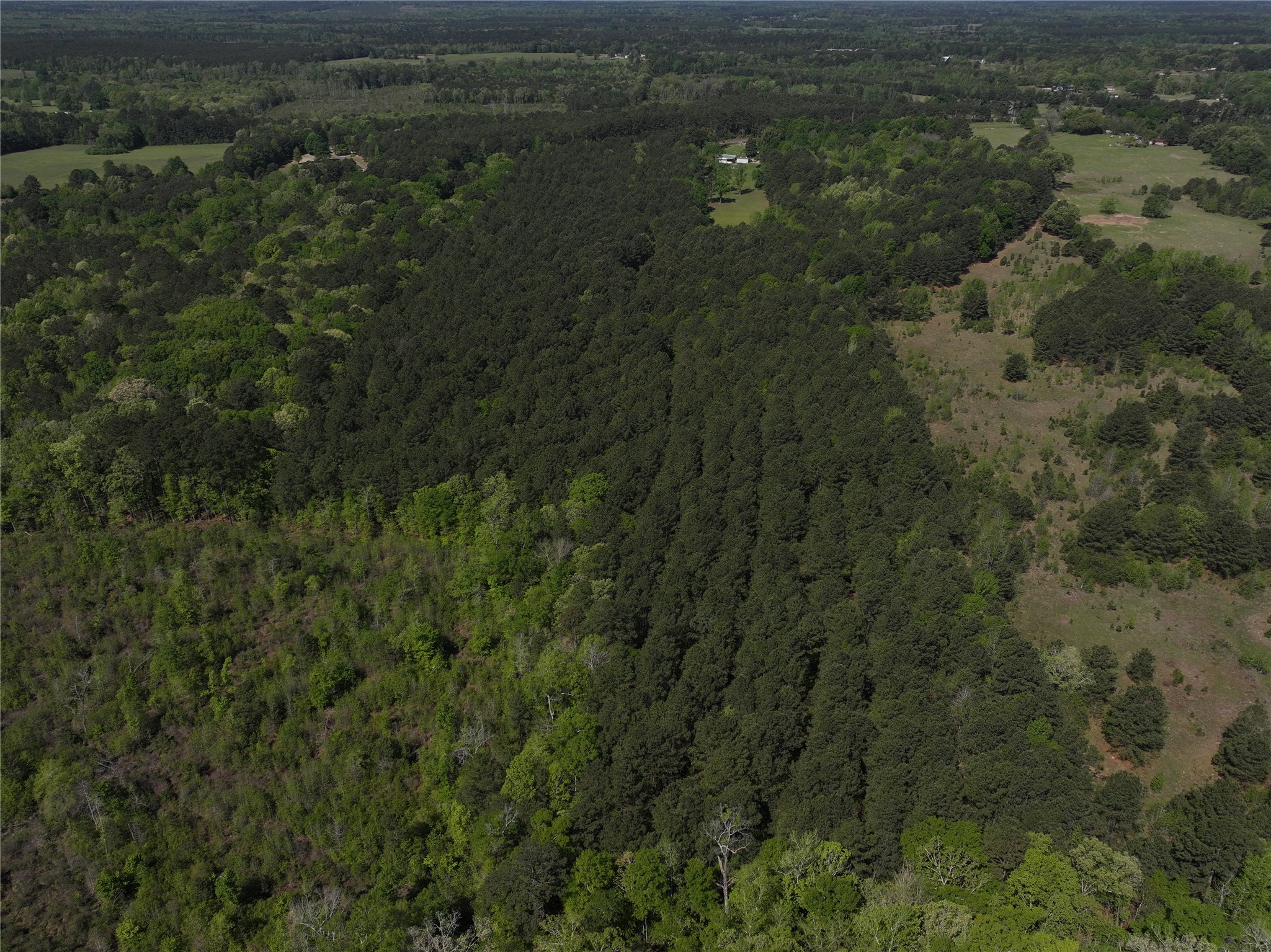 0 Highway 77 Lot 1 E Atlanta TX 75551