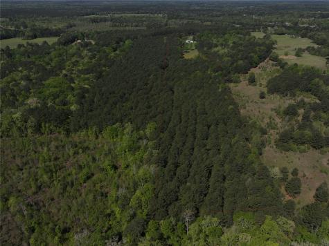 0 Highway 77 Lot 1 E Atlanta TX 75551