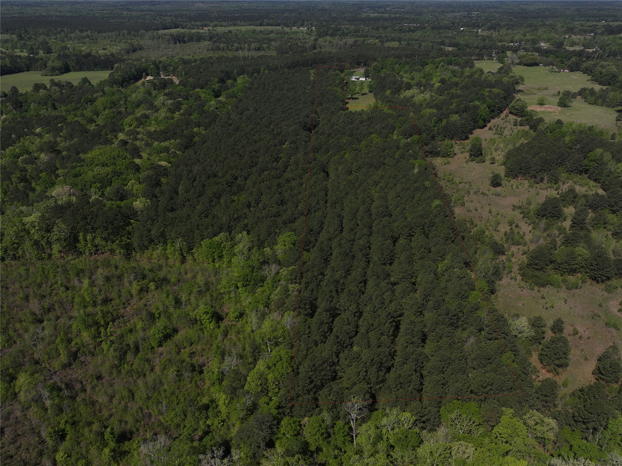 0 Highway 77 Lot 1 E Atlanta TX 75551