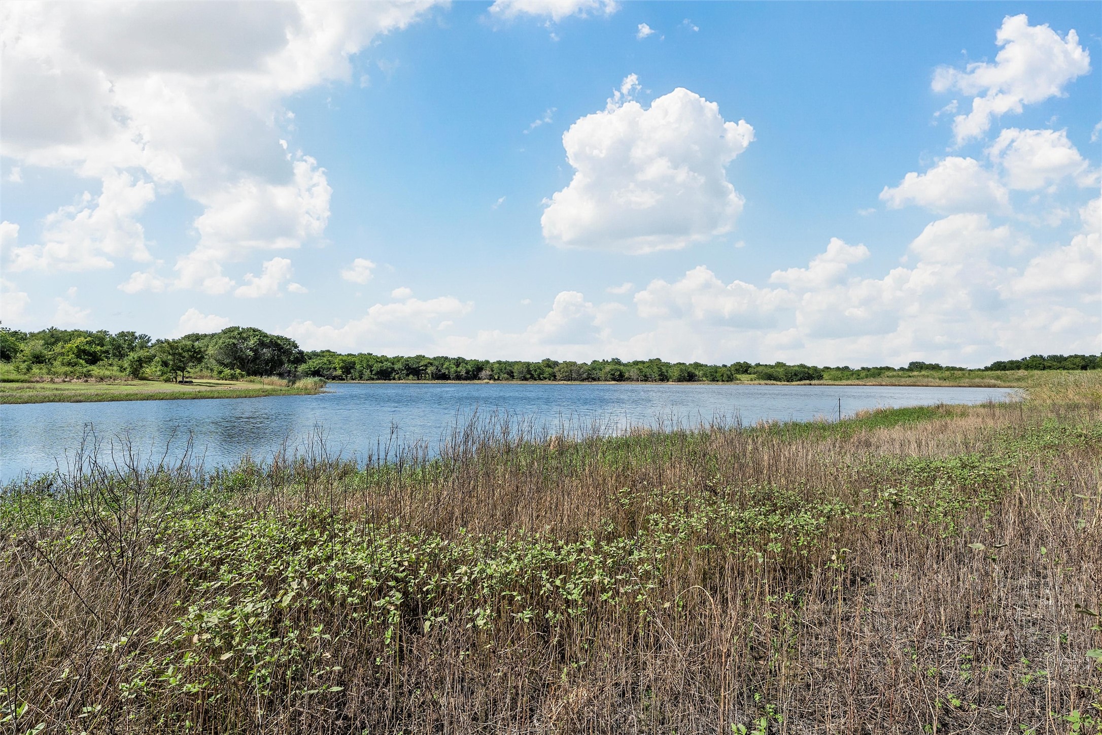 Tbd County Road 214 Coolidge TX 76635