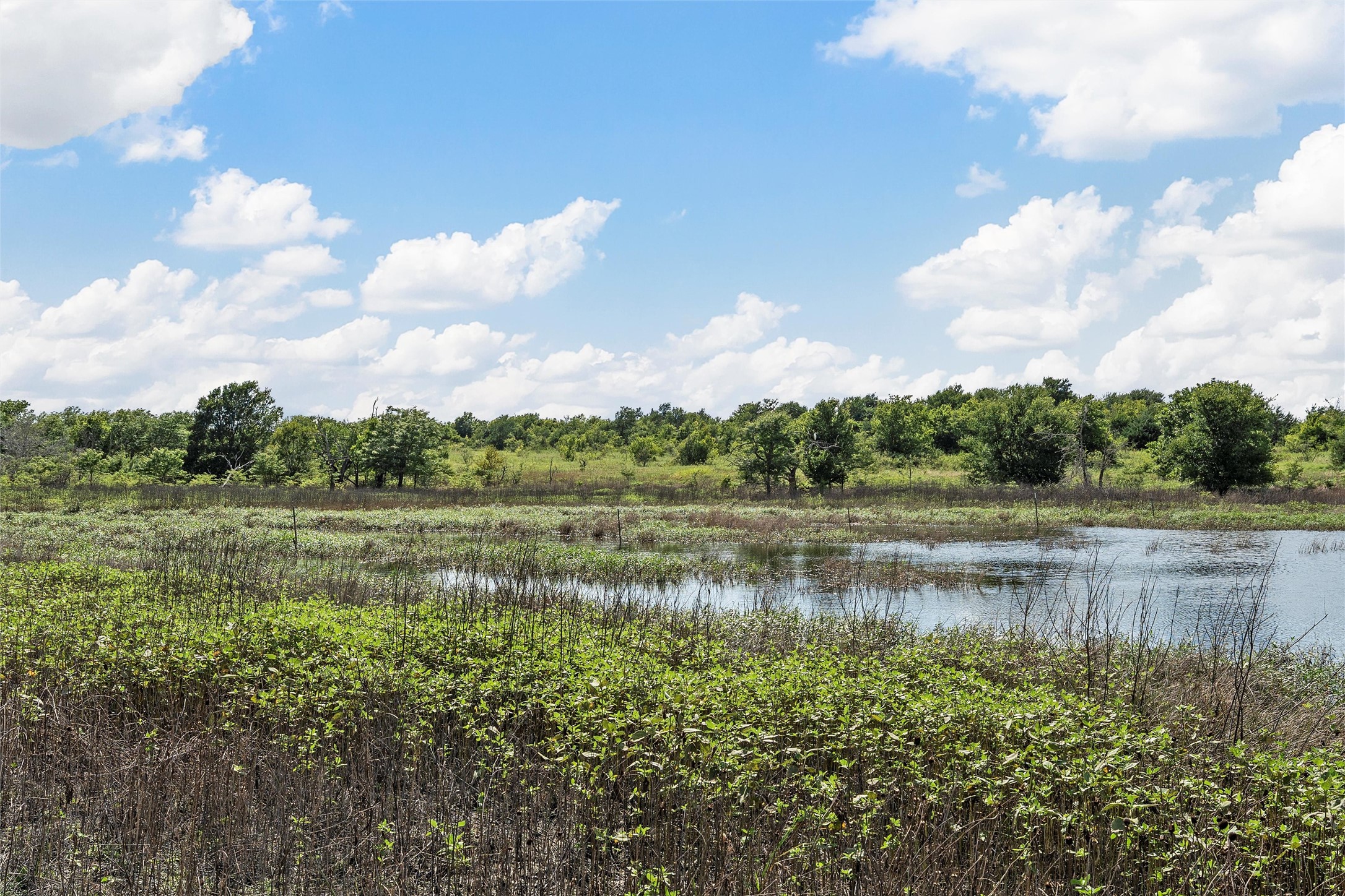 Tbd County Road 214 Coolidge TX 76635