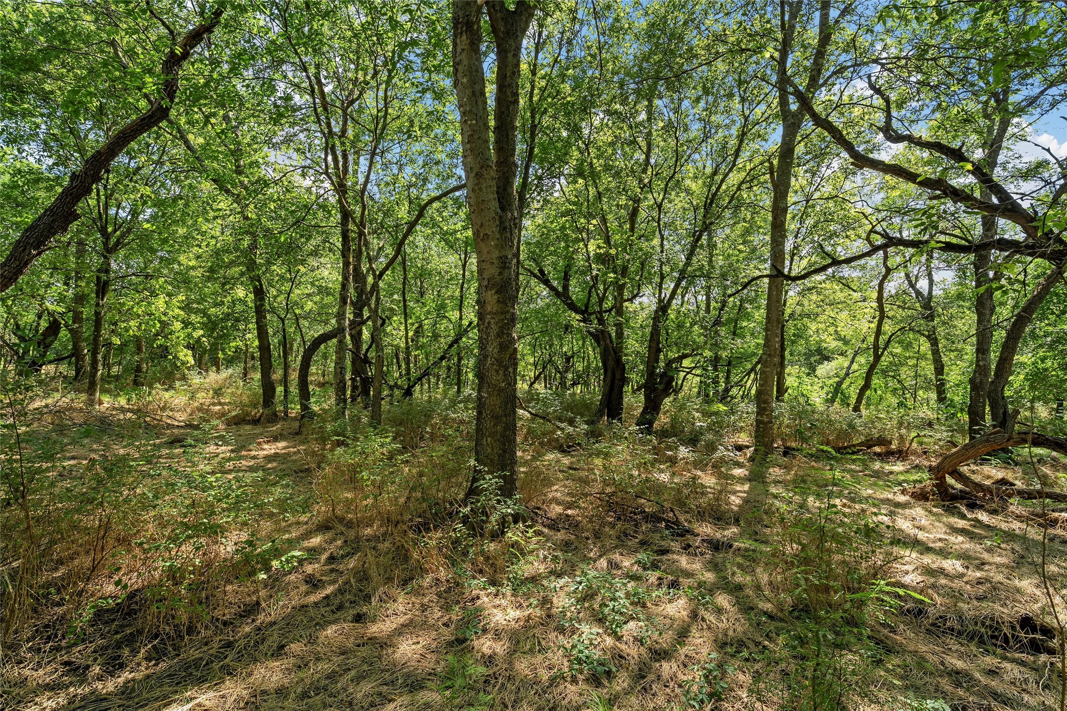 Tbd County Road 214 Coolidge TX 76635