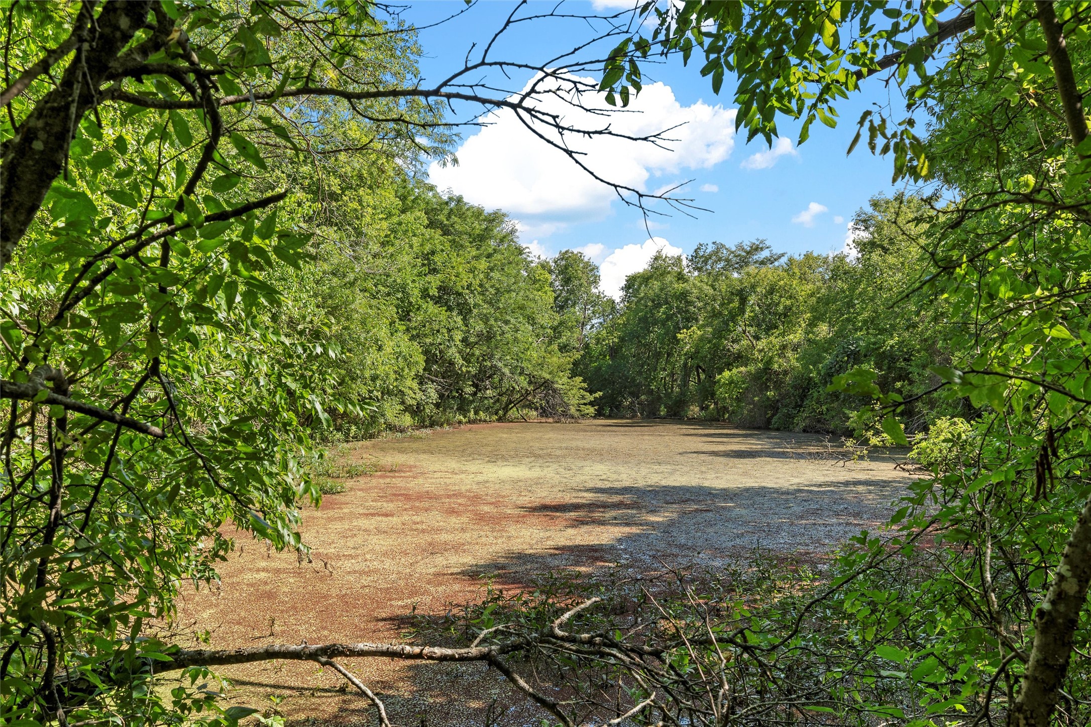 Tbd County Road 214 Coolidge TX 76635