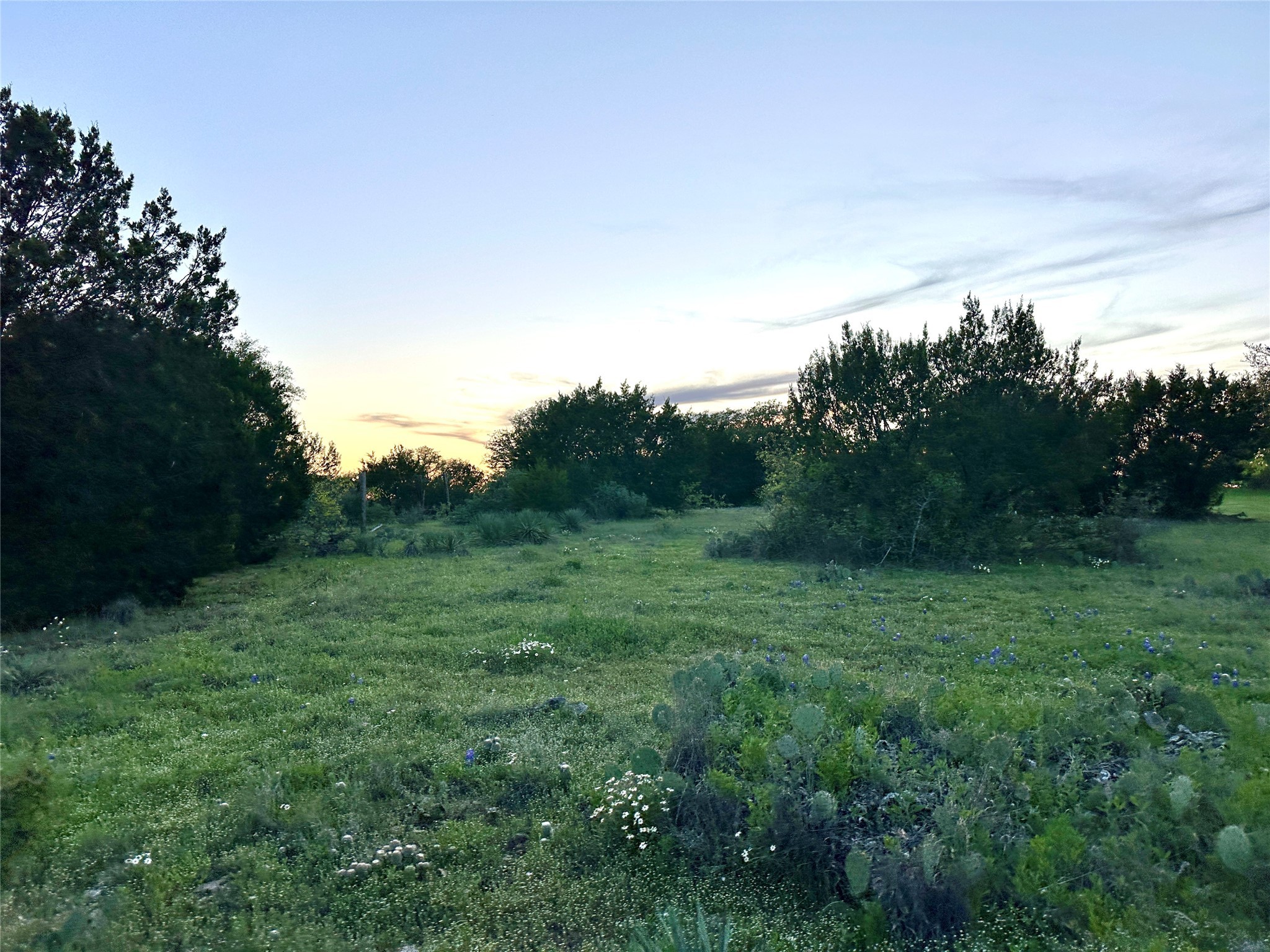 1868 Highway 84 W Mullin TX 76864