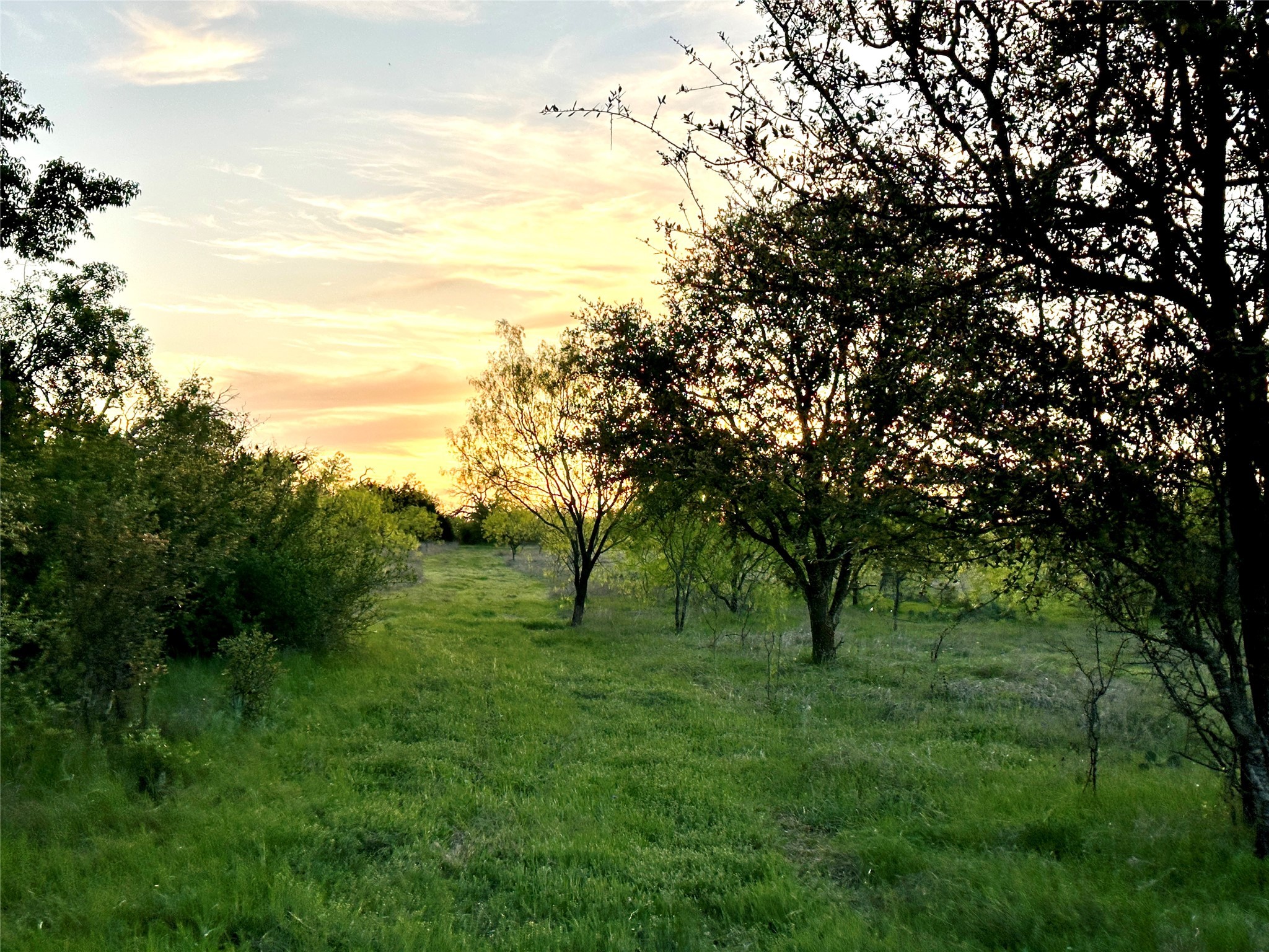 1868 Highway 84 W Mullin TX 76864