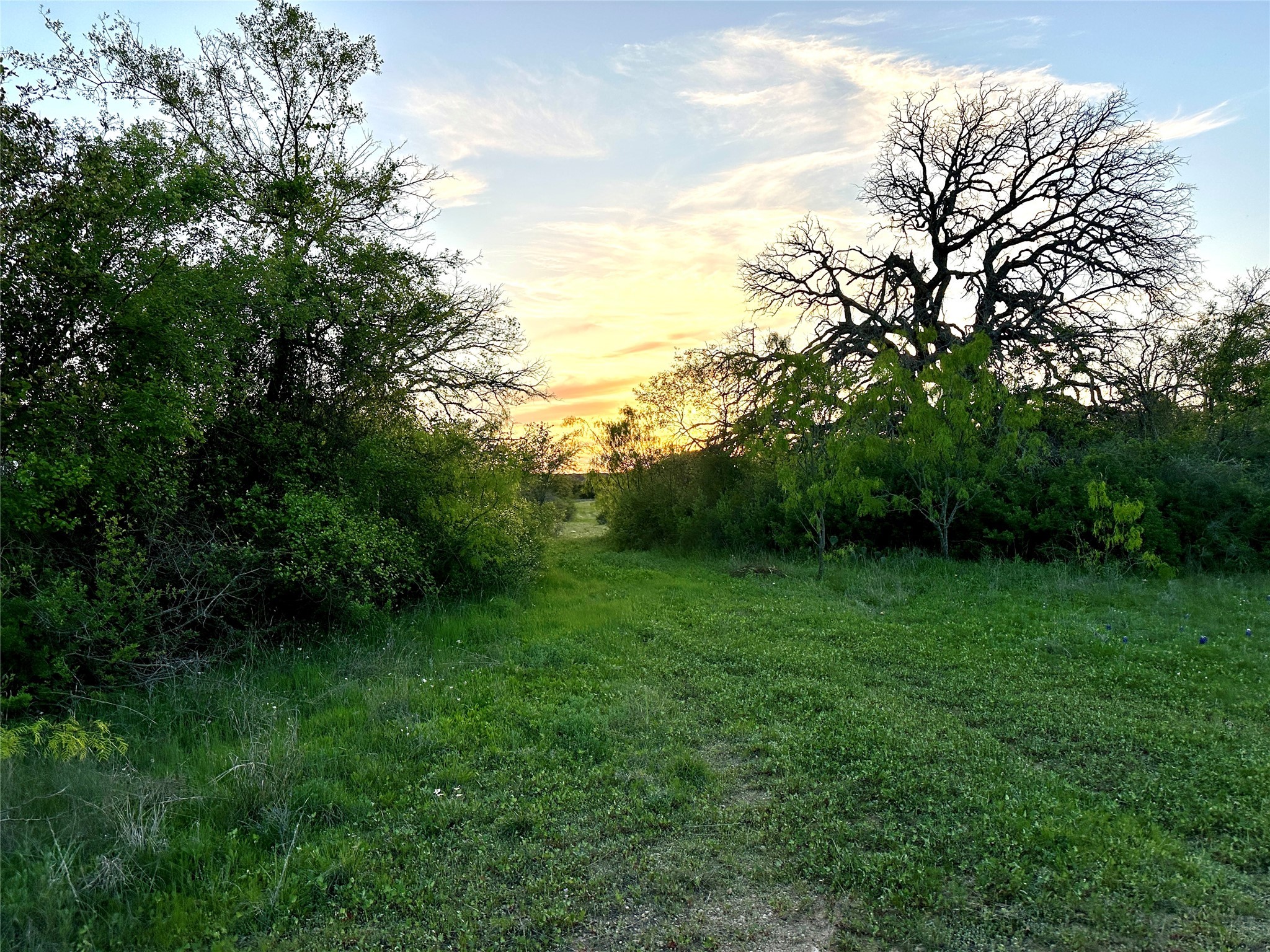 1868 Highway 84 W Mullin TX 76864