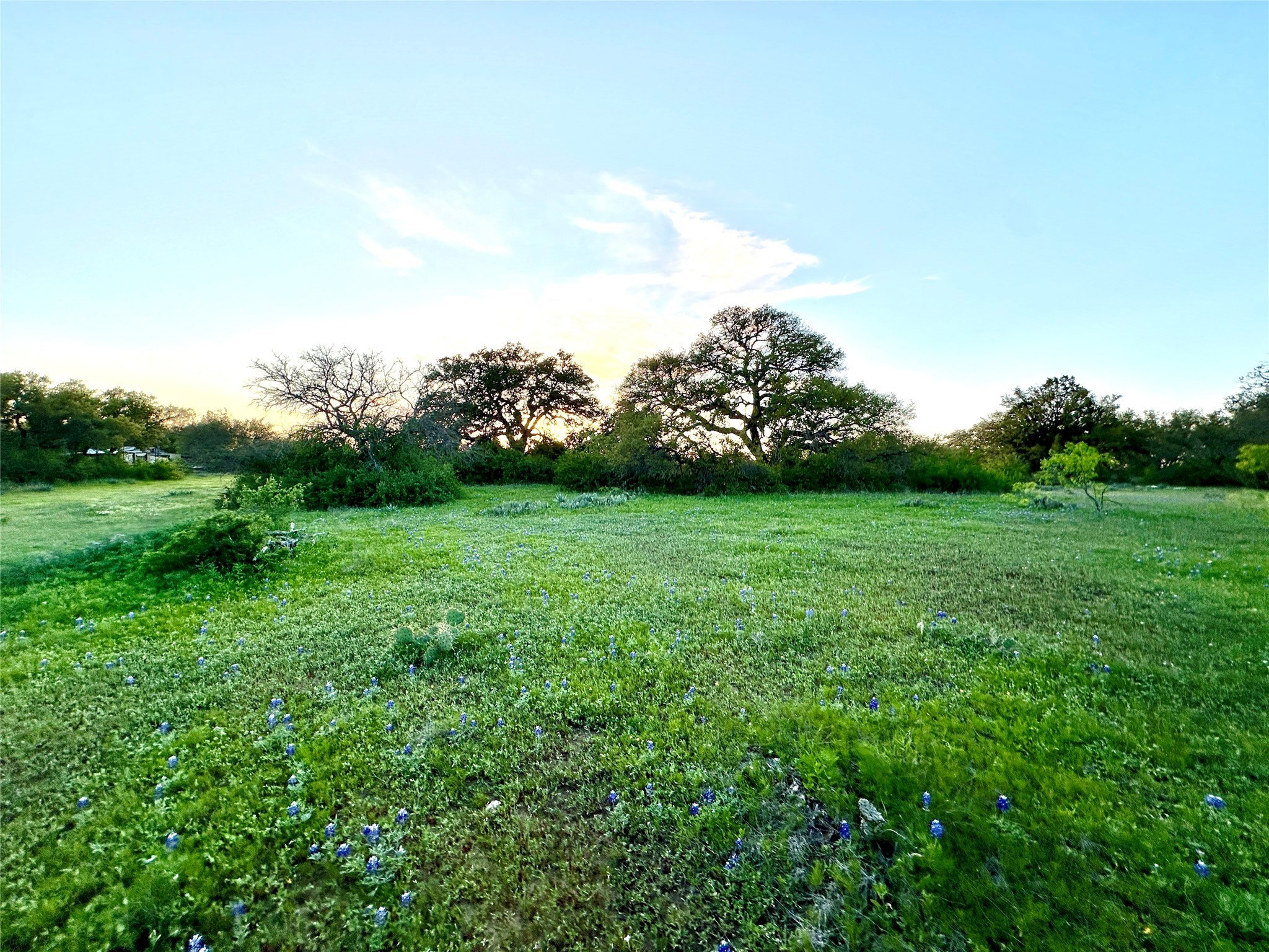 1868 Highway 84 W Mullin TX 76864