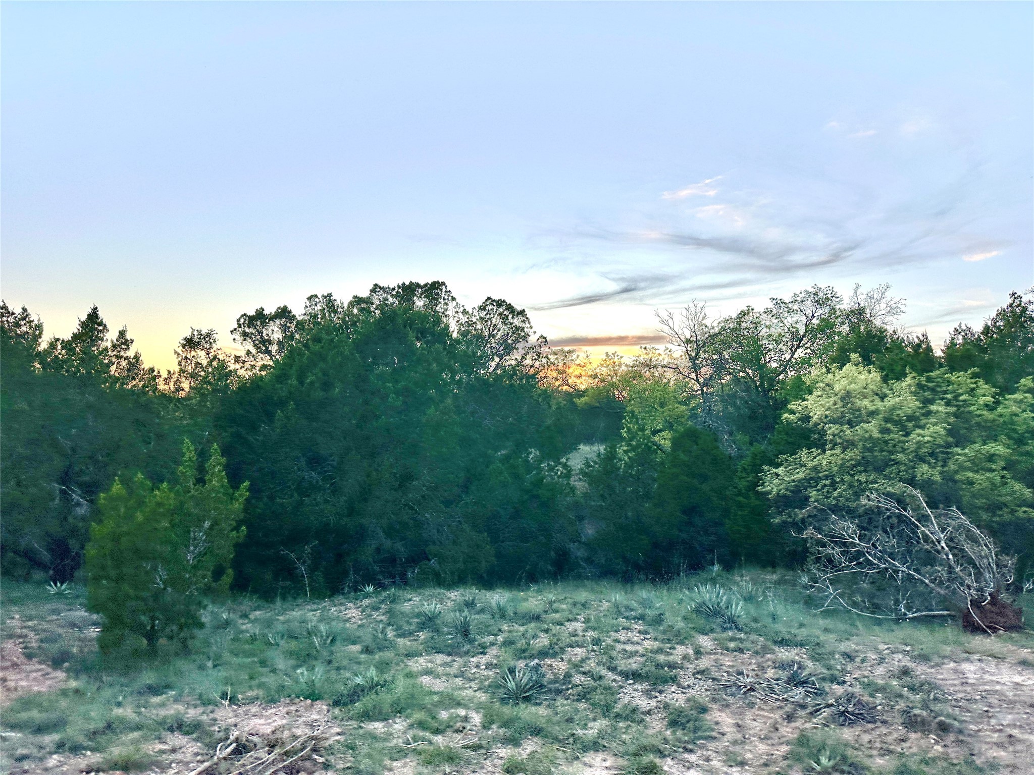 1868 Highway 84 W Mullin TX 76864