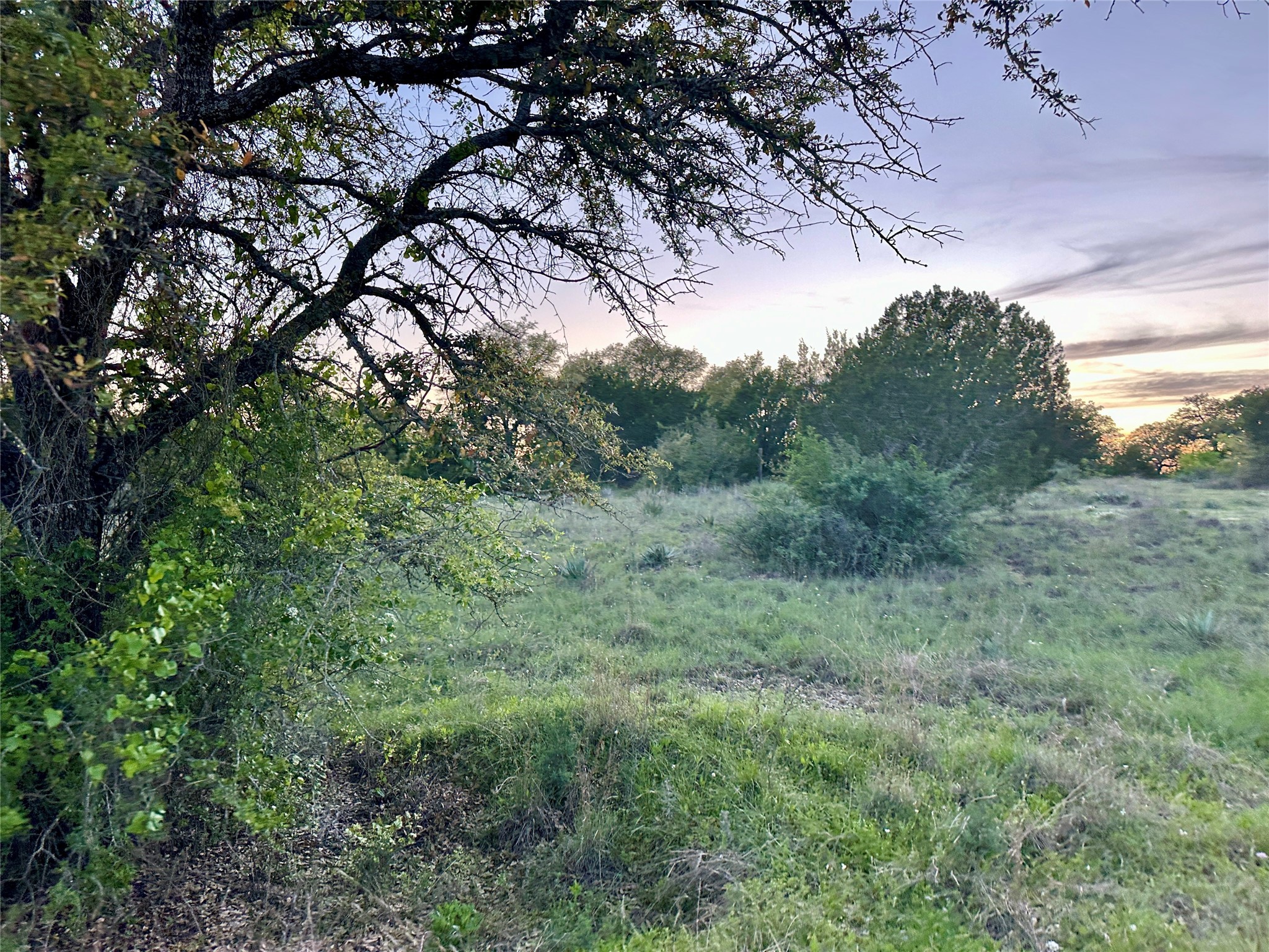 1868 Highway 84 W Mullin TX 76864