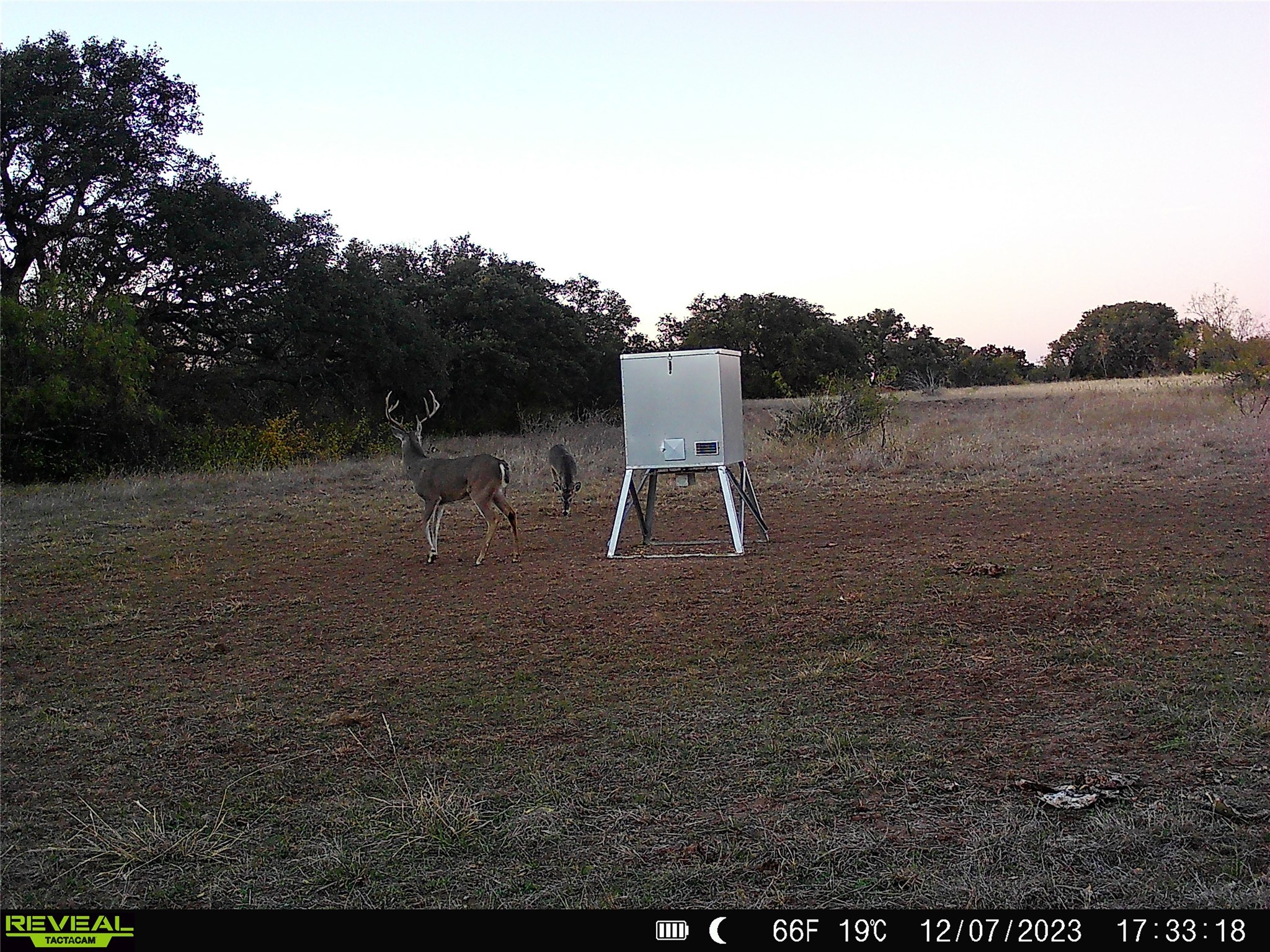 1868 Highway 84 W Mullin TX 76864