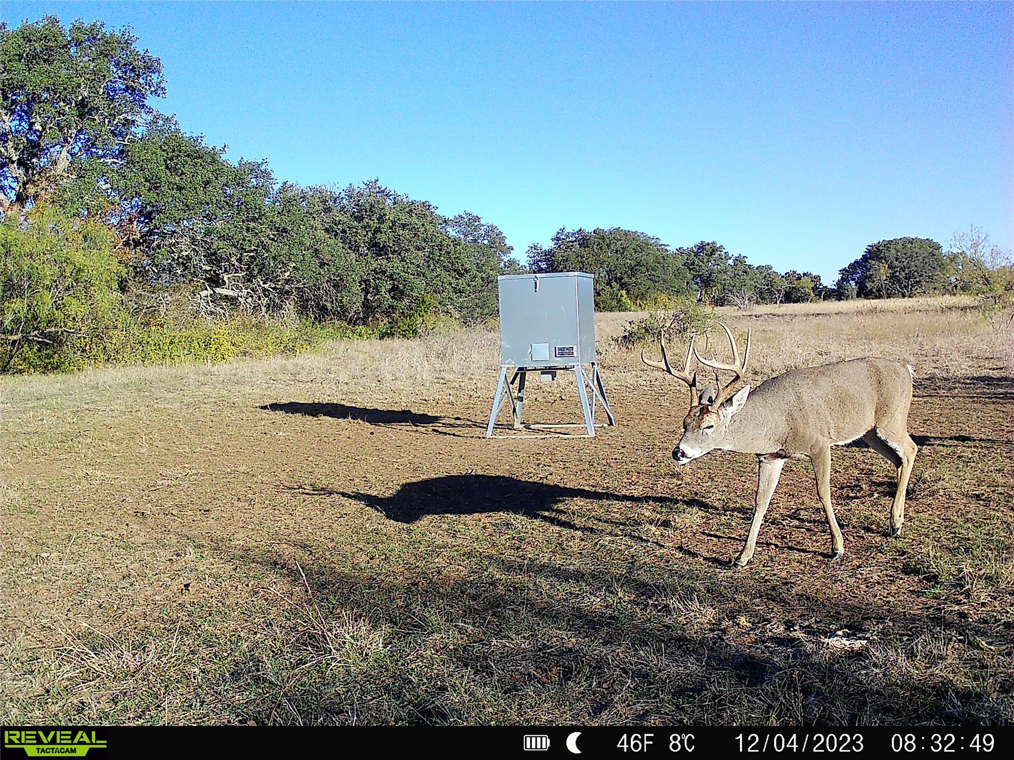 1868 Highway 84 W Mullin TX 76864