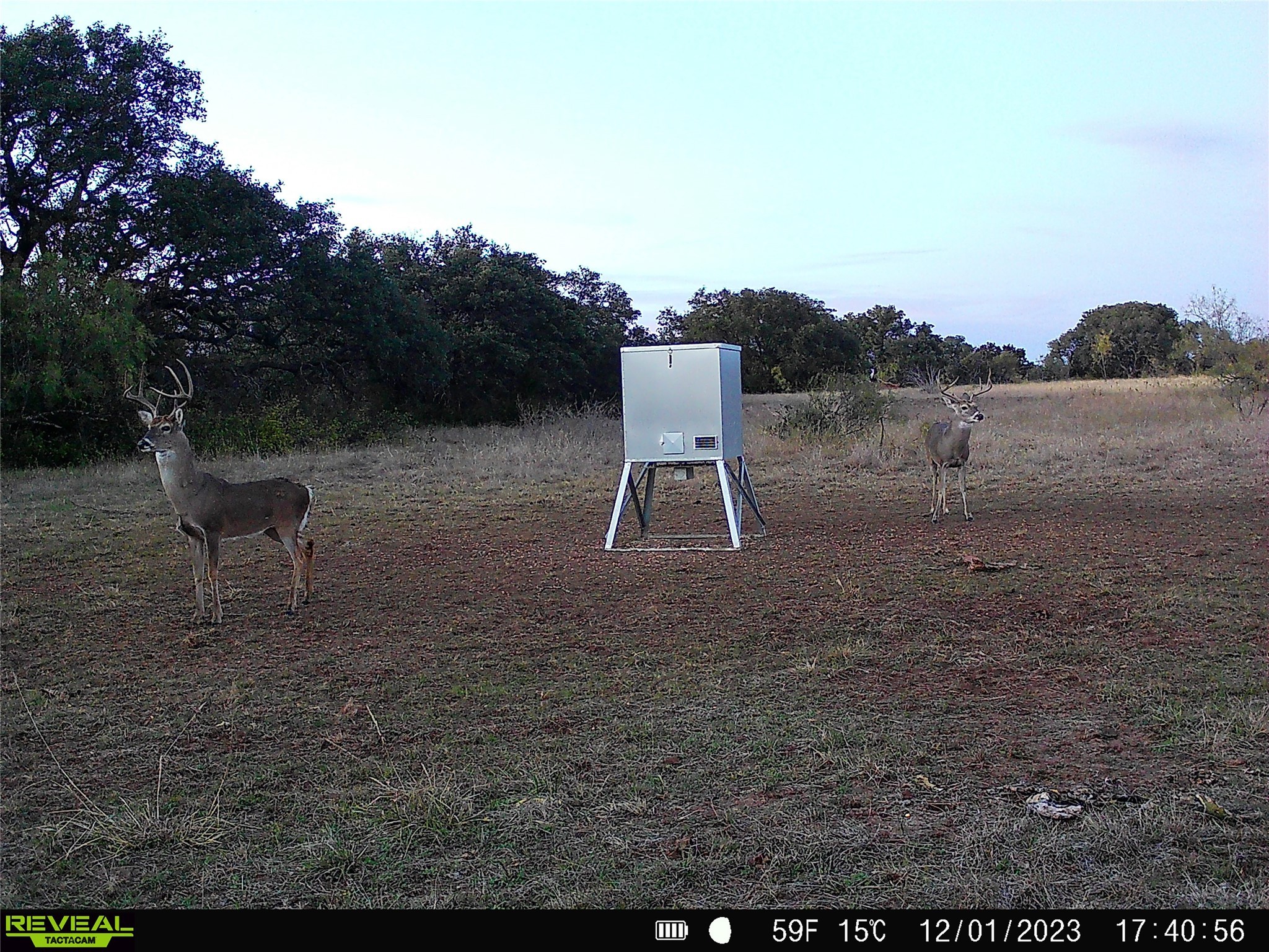 1868 Highway 84 W Mullin TX 76864