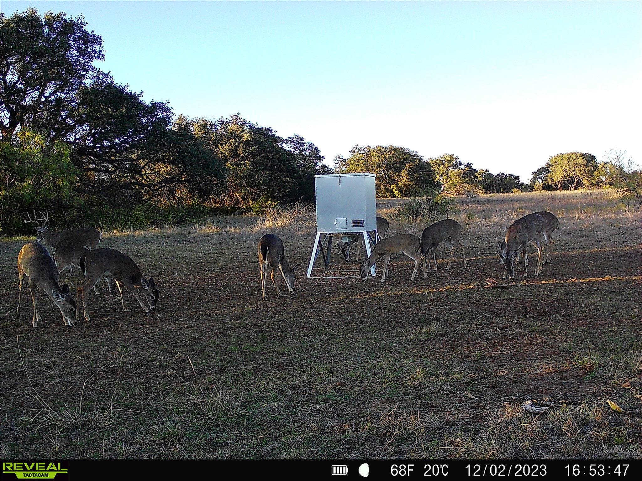 1868 Highway 84 W Mullin TX 76864